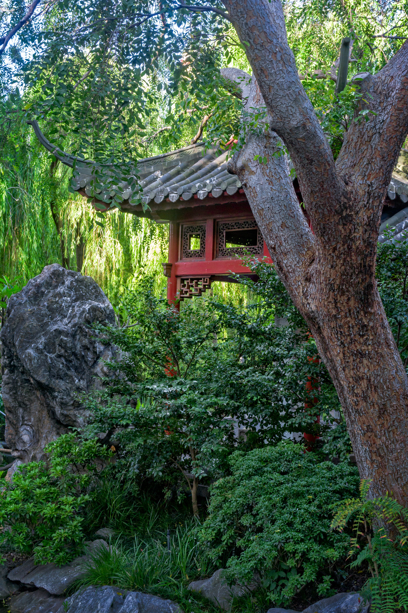 Sony a6000 + Sony Sonnar T* FE 35mm F2.8 ZA sample photo. Chinese garden photography