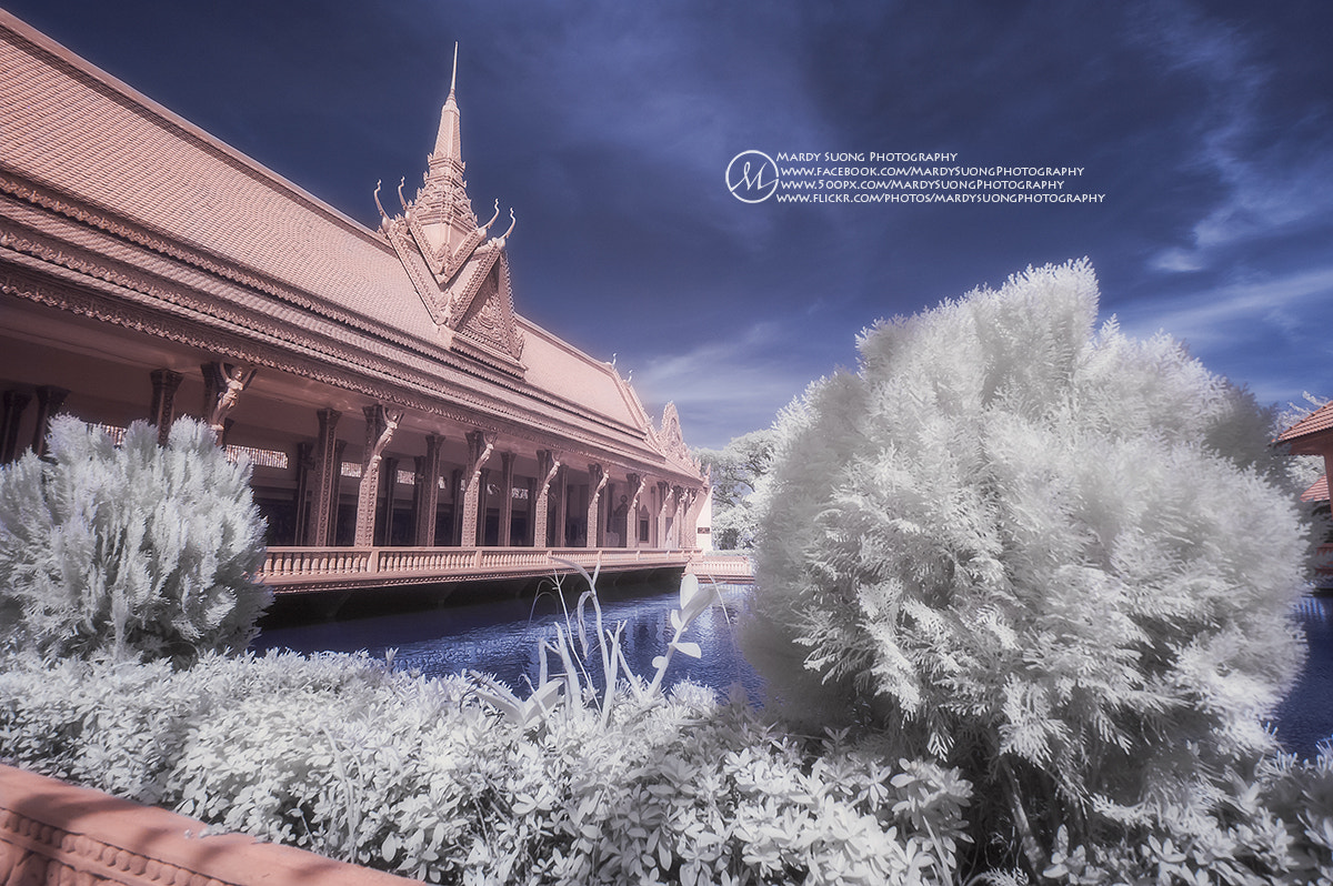 Nikon D70 sample photo. Wat samrong andet! photography