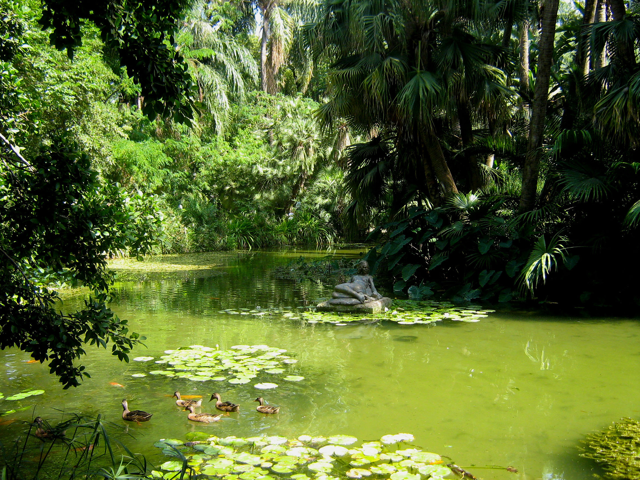 Canon POWERSHOT A430 sample photo. Alger jardin d essai photography