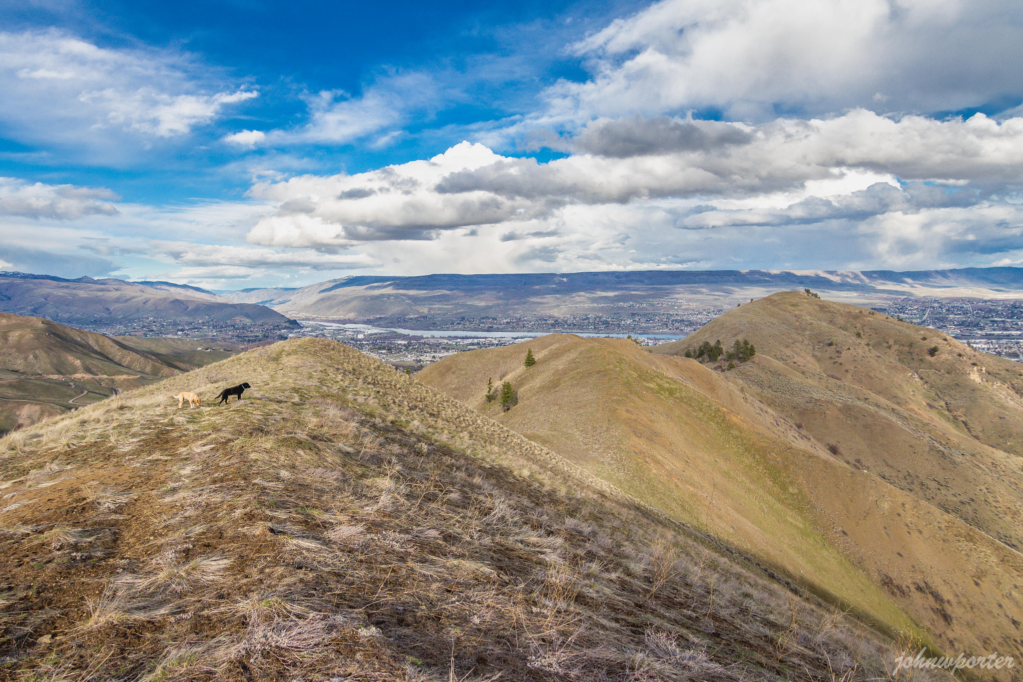 Canon EOS 650D (EOS Rebel T4i / EOS Kiss X6i) sample photo. Dogs on hikes photography