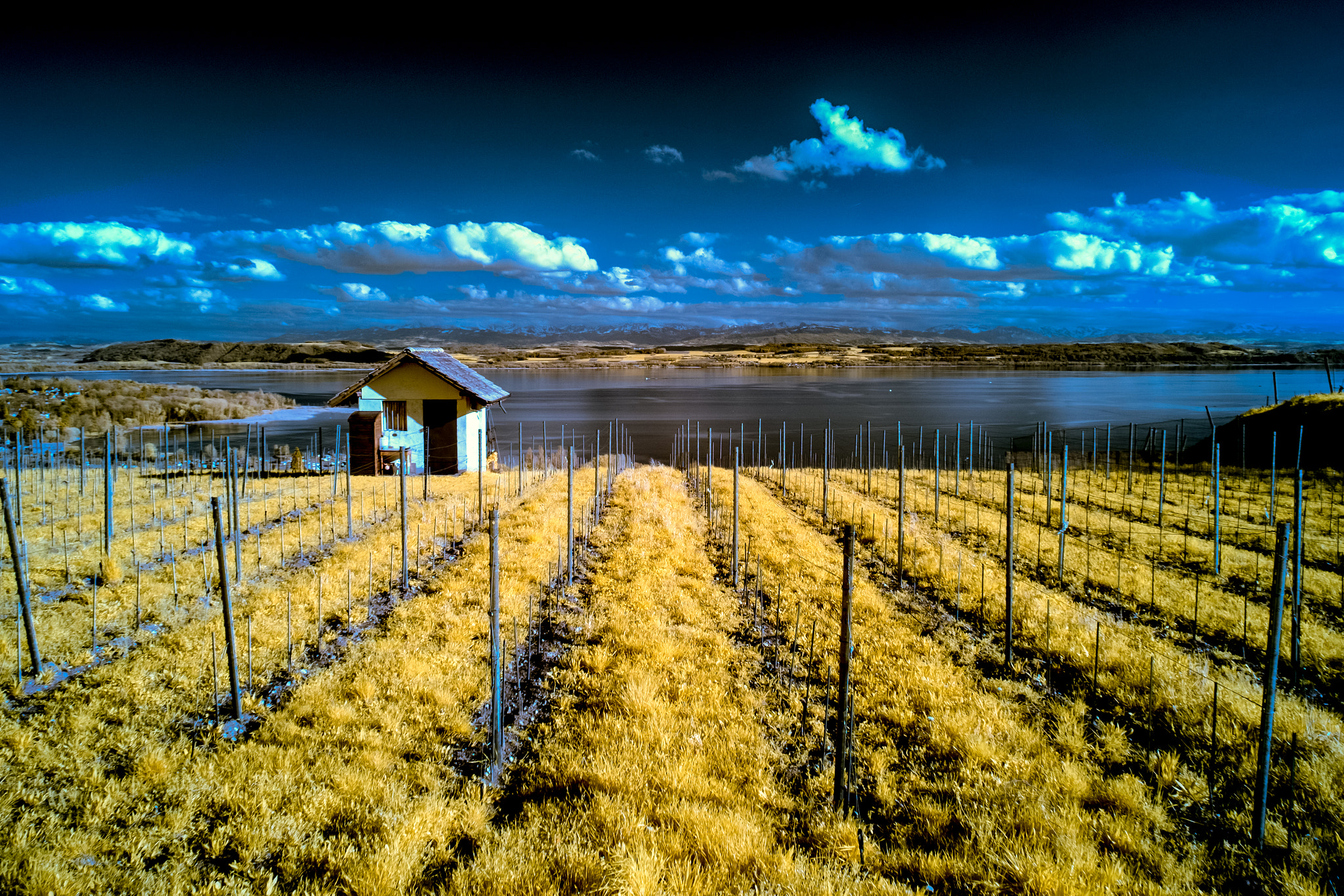 Fujifilm X-E1 + Fujifilm XF 18-135mm F3.5-5.6 R LM OIS WR sample photo. ...betweenblueandyellow.... photography