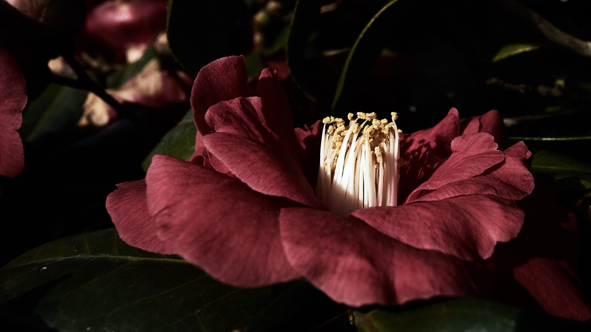 Sony ILCA-77M2 + 10-20mm F3.5 sample photo. The only way is up! photography