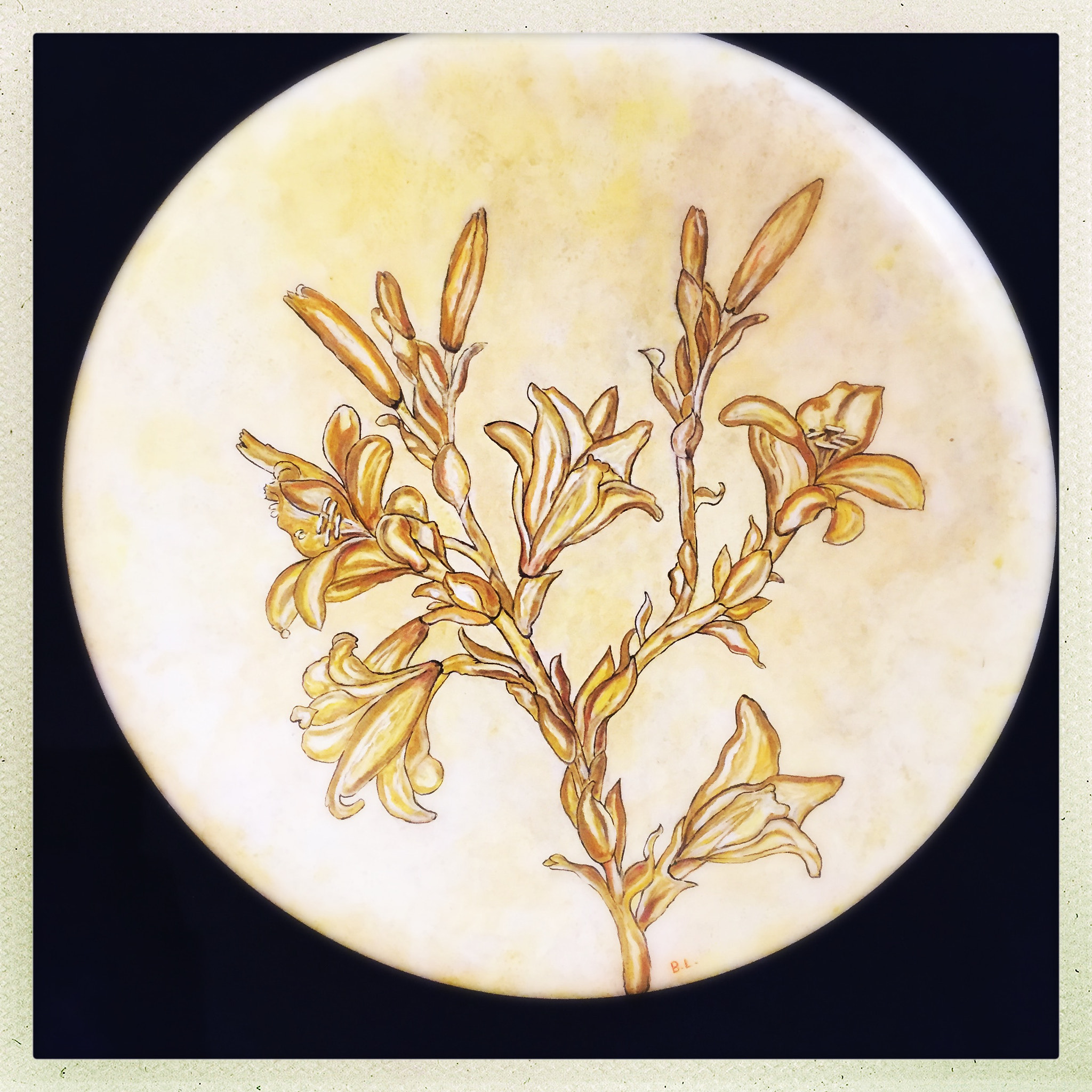 Hipstamatic 302 sample photo. Flowers by da vinci photography