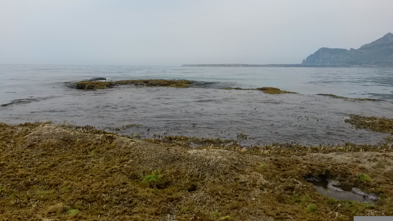 Samsung Galaxy S4 Active sample photo