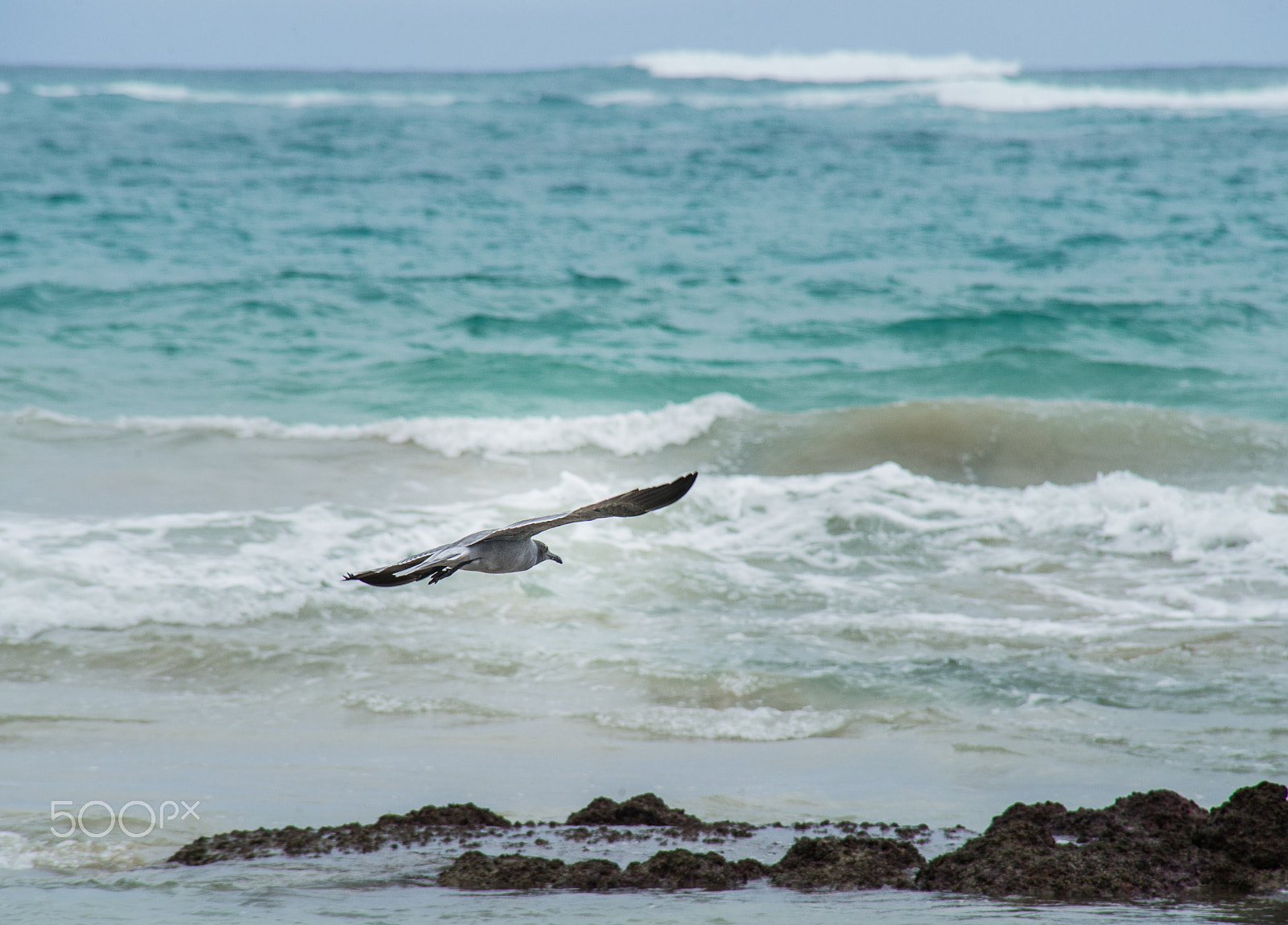 Nikon D3S sample photo. Wave rider photography