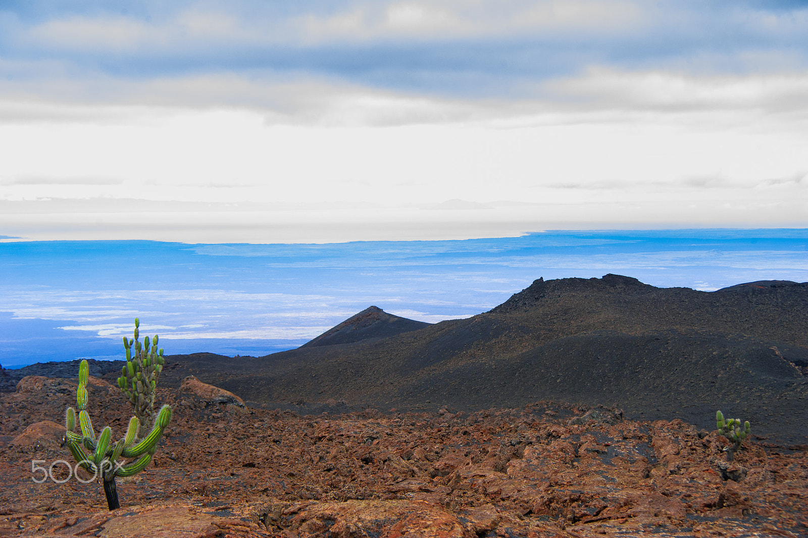 Nikon D3S sample photo. Desolation photography