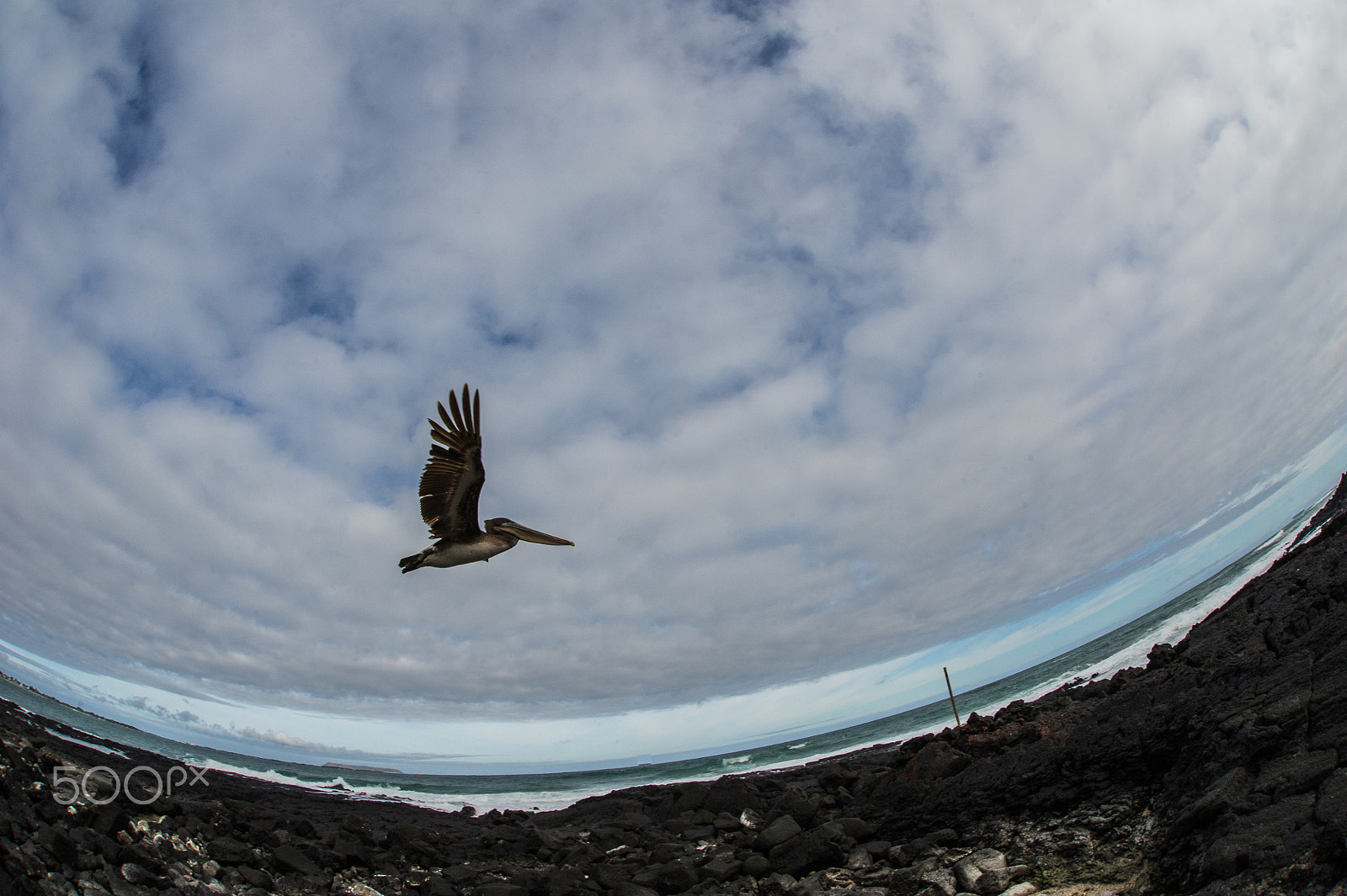 Nikon D3S + Sigma 15mm F2.8 EX DG Diagonal Fisheye sample photo. Low pass photography