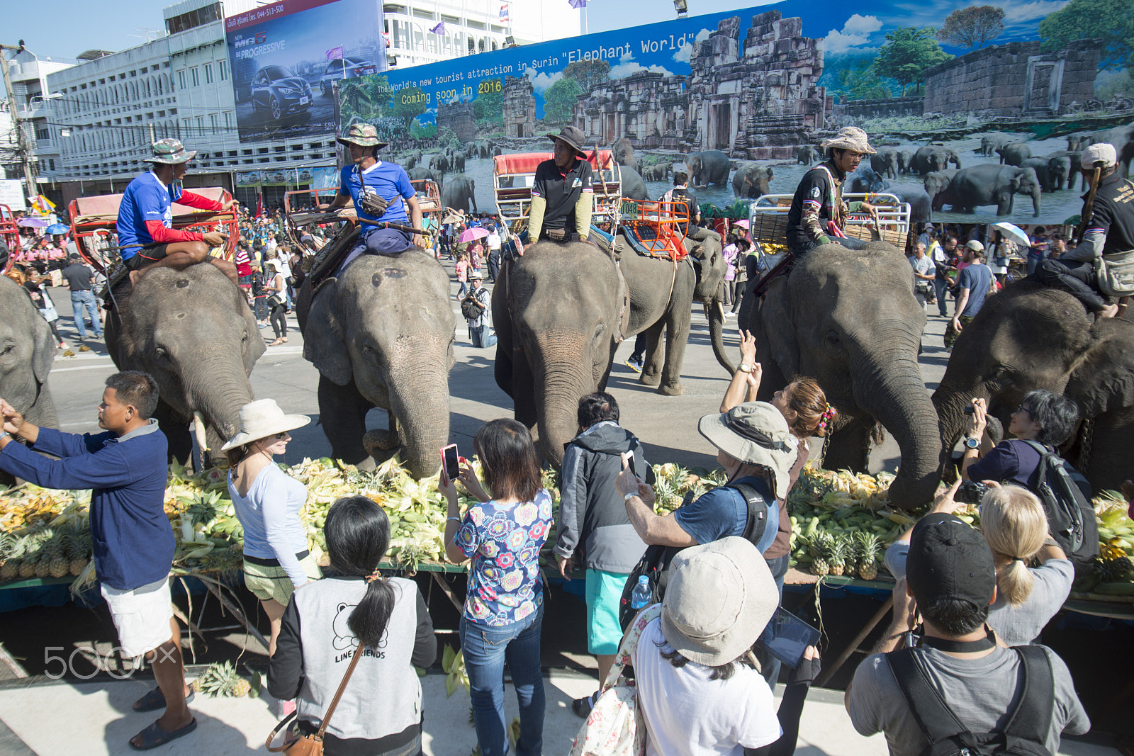 Sigma 17-35mm F2.8-4 EX DG  Aspherical HSM sample photo. Thailand surin elephant round up festival photography