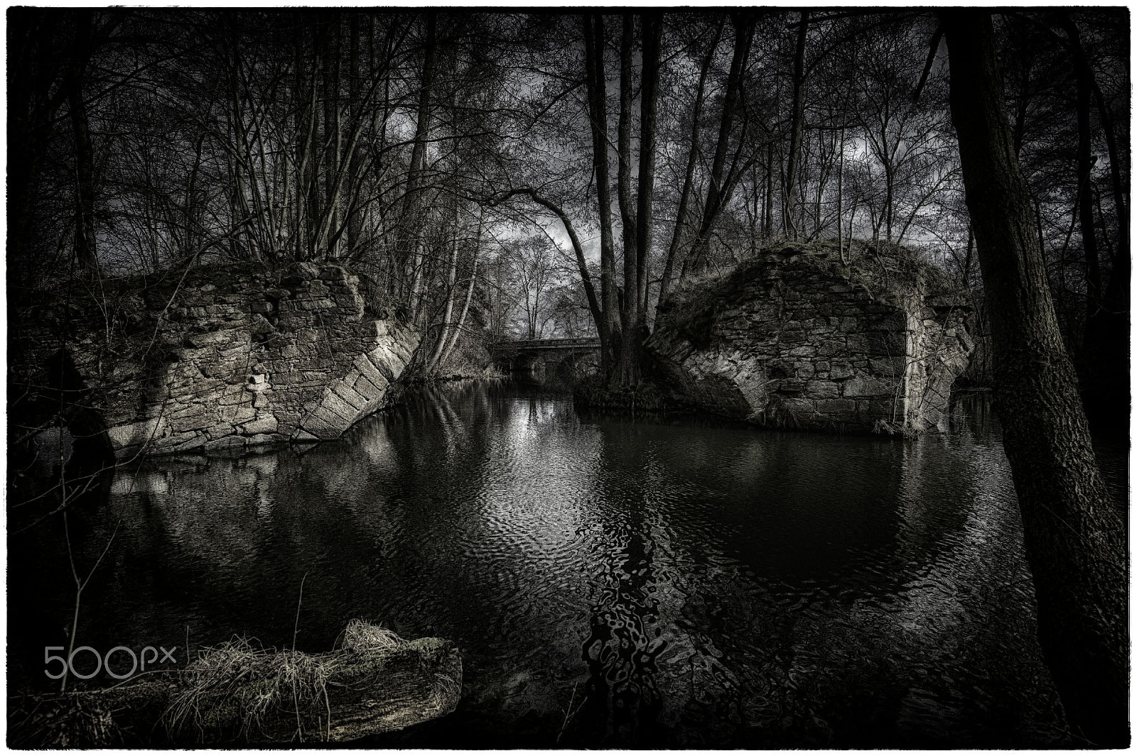 Nikon D4 sample photo. Ruine der brücke über die spree bei niedergurig, franzosenbrücke photography