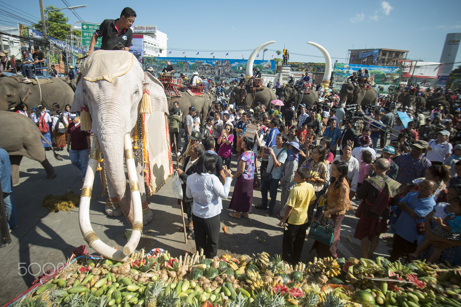 Sigma 17-35mm F2.8-4 EX DG  Aspherical HSM sample photo. Thailand surin elephant round up festival photography