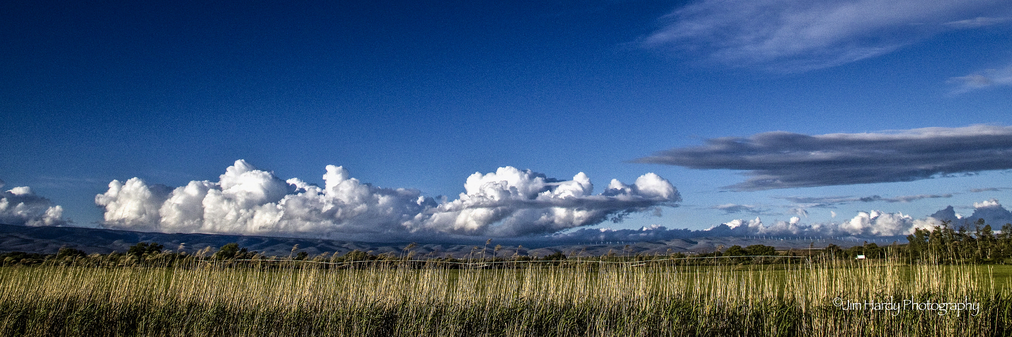 Canon EOS 550D (EOS Rebel T2i / EOS Kiss X4) sample photo. Kittitas valley photography