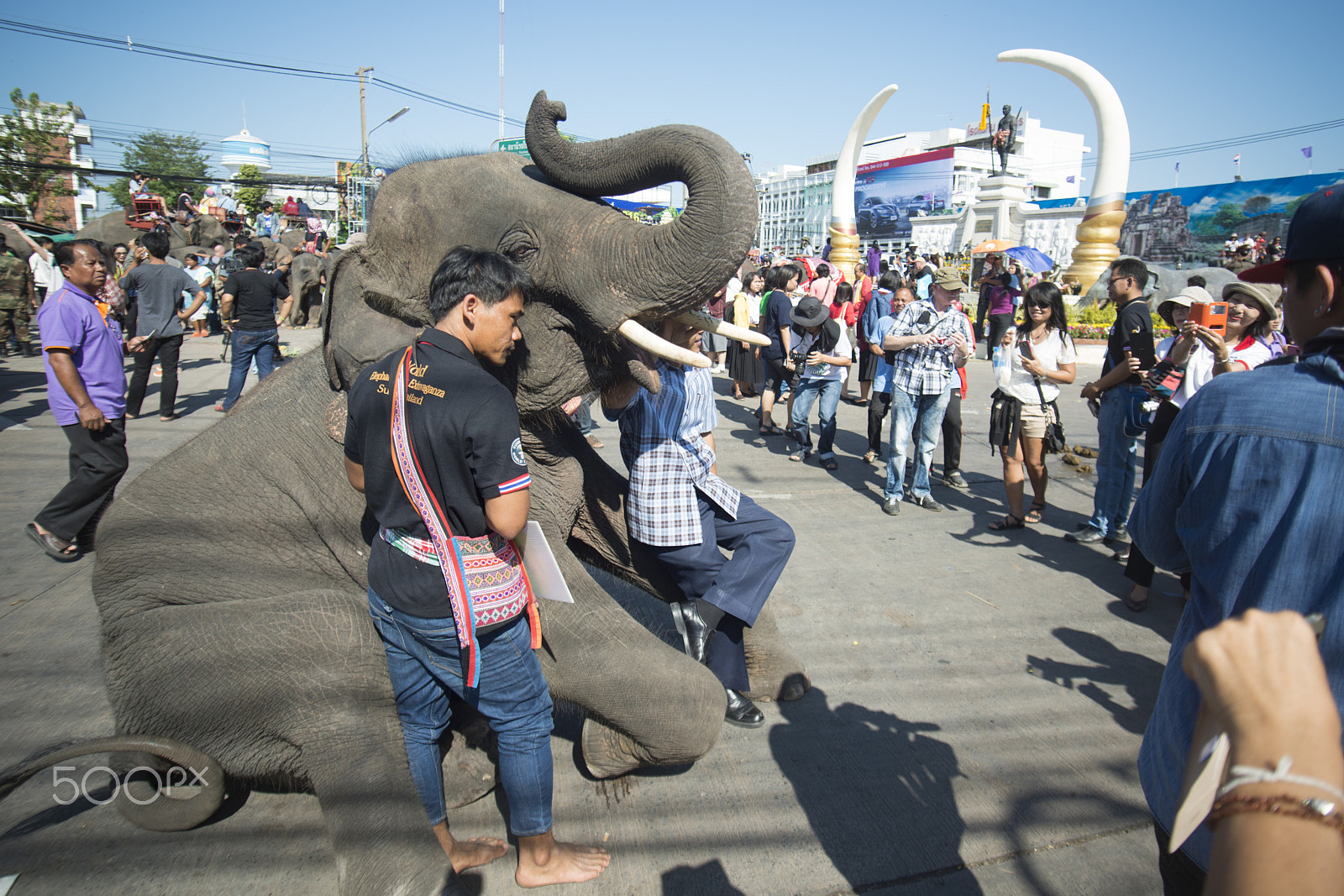 Sigma 17-35mm F2.8-4 EX DG  Aspherical HSM sample photo. Thailand surin elephant round up festival photography