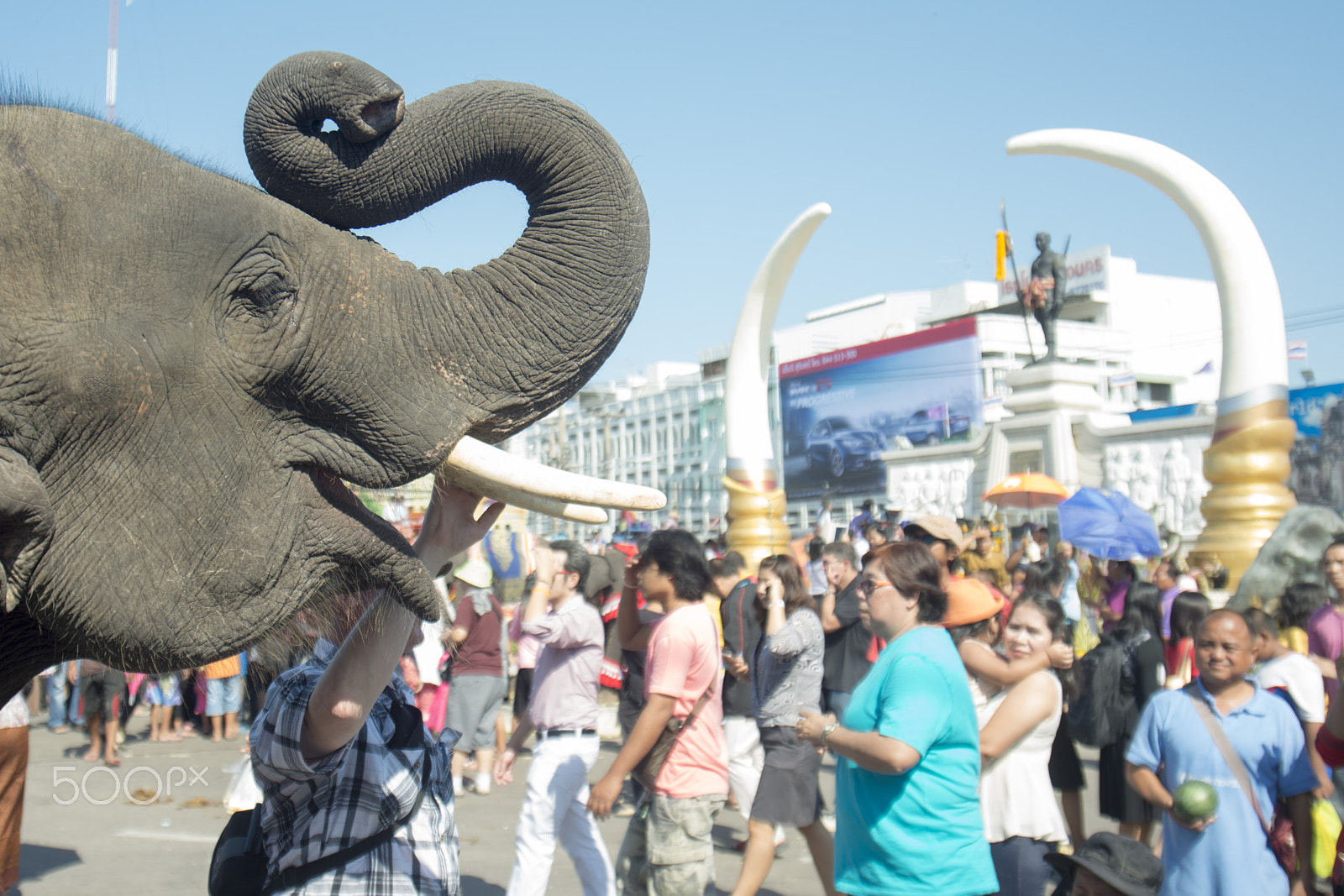 Nikon D800 + Sigma 17-35mm F2.8-4 EX DG  Aspherical HSM sample photo. Thailand surin elephant round up festival photography