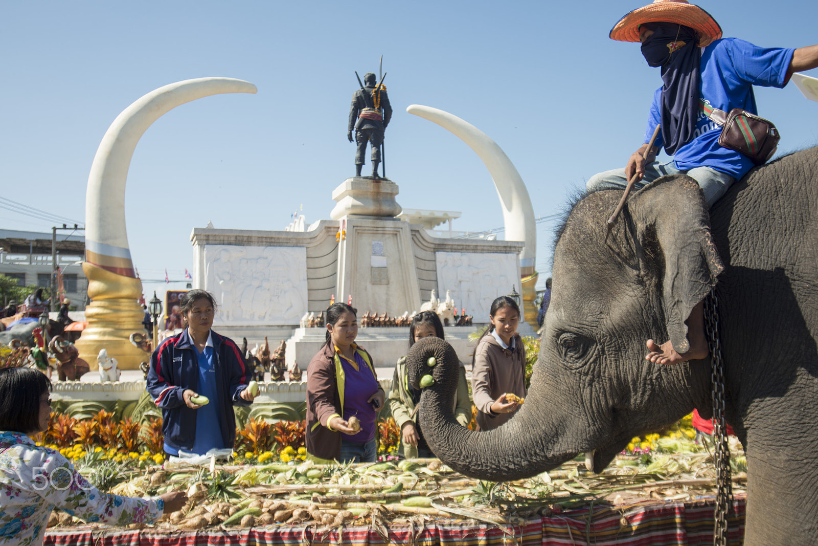 Nikon D800 + Sigma 17-35mm F2.8-4 EX DG  Aspherical HSM sample photo. Thailand surin elephant round up festival photography