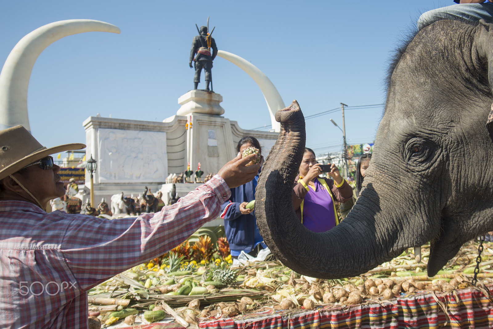 Sigma 17-35mm F2.8-4 EX DG  Aspherical HSM sample photo. Thailand surin elephant round up festival photography