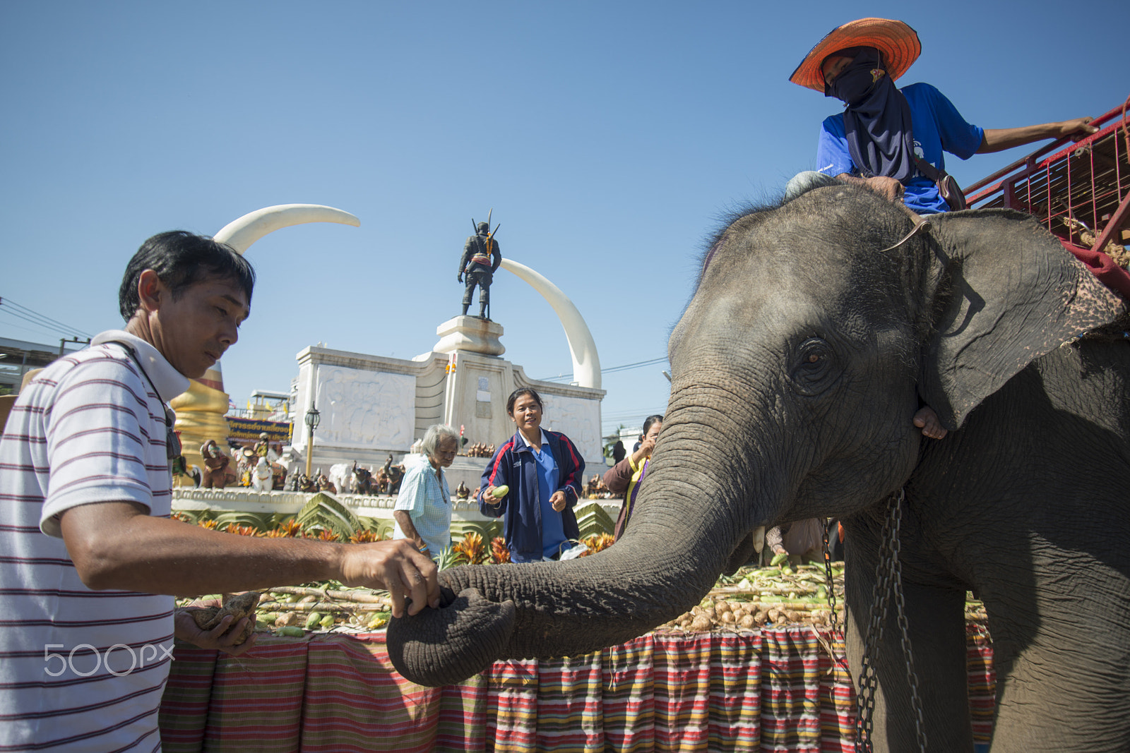 Sigma 17-35mm F2.8-4 EX DG  Aspherical HSM sample photo. Thailand surin elephant round up festival photography