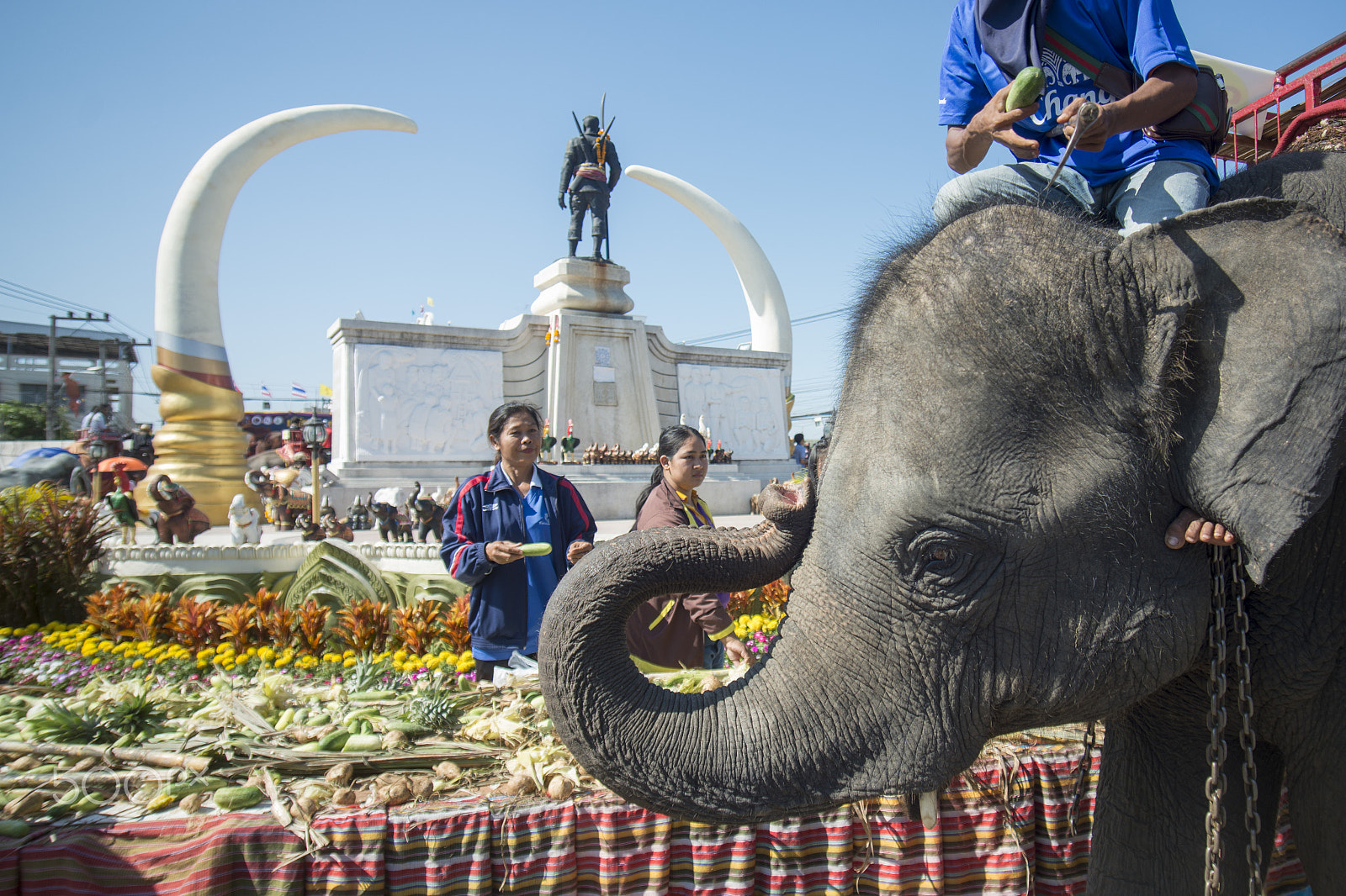 Sigma 17-35mm F2.8-4 EX DG  Aspherical HSM sample photo. Thailand surin elephant round up festival photography