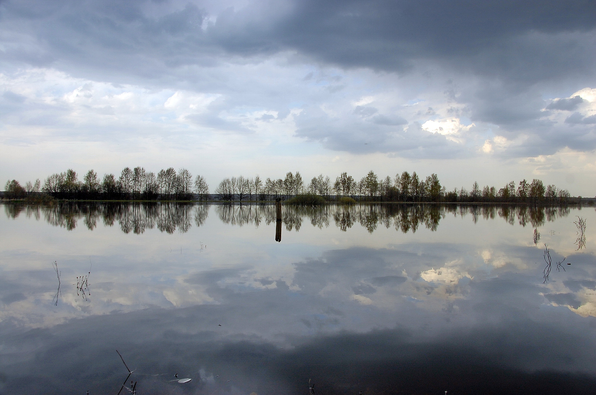 Nikon D40 sample photo. Апрель photography