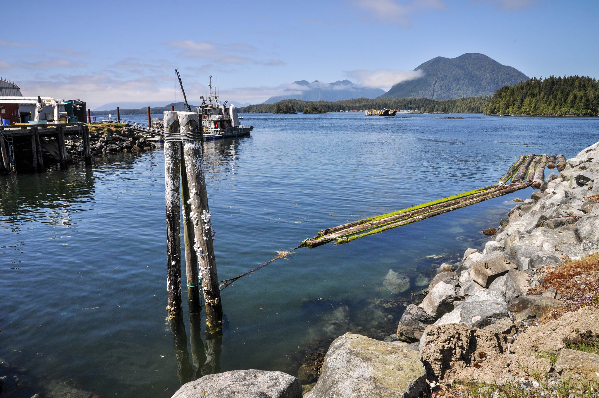 Sigma 17-70mm F2.8-4 DC Macro OS HSM sample photo. Tofino harbour photography