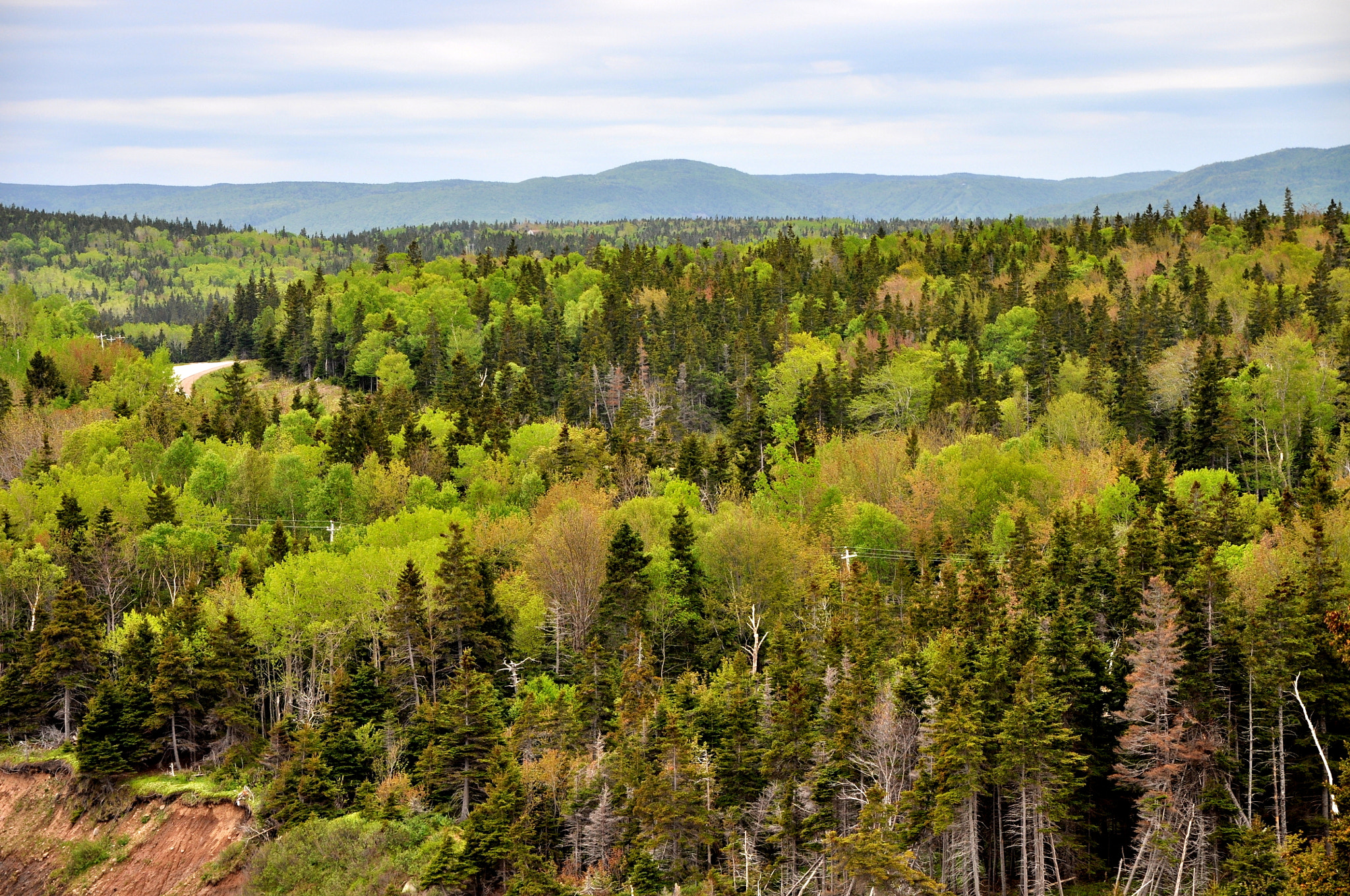 Sigma 17-70mm F2.8-4 DC Macro OS HSM sample photo. Spring in canada photography