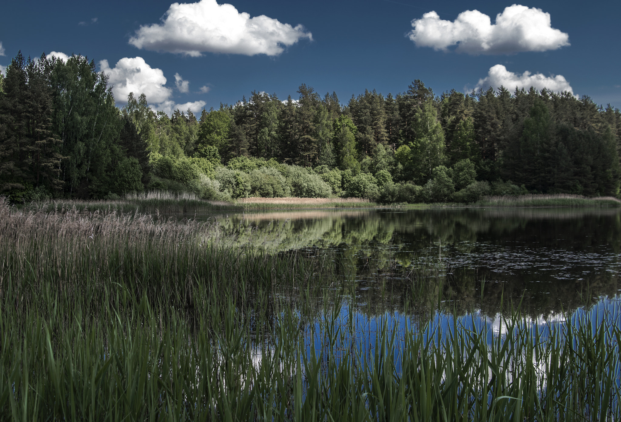 Tamron AF 28-75mm F2.8 XR Di LD Aspherical (IF) sample photo. Colors of the summer photography