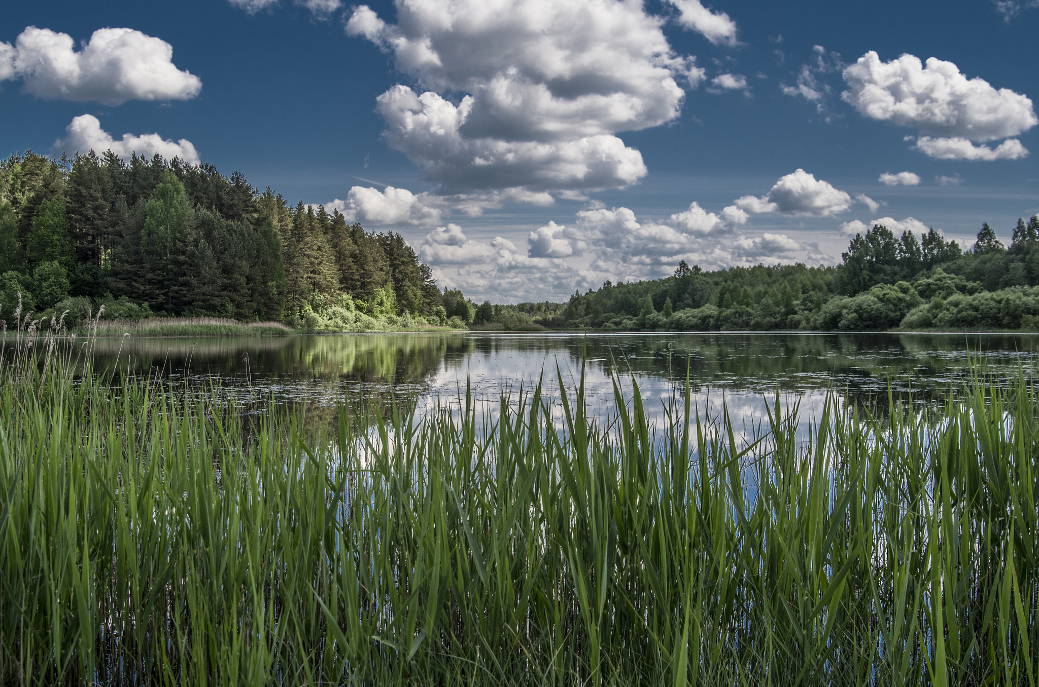 Tamron AF 28-75mm F2.8 XR Di LD Aspherical (IF) sample photo. Colors of the summer photography