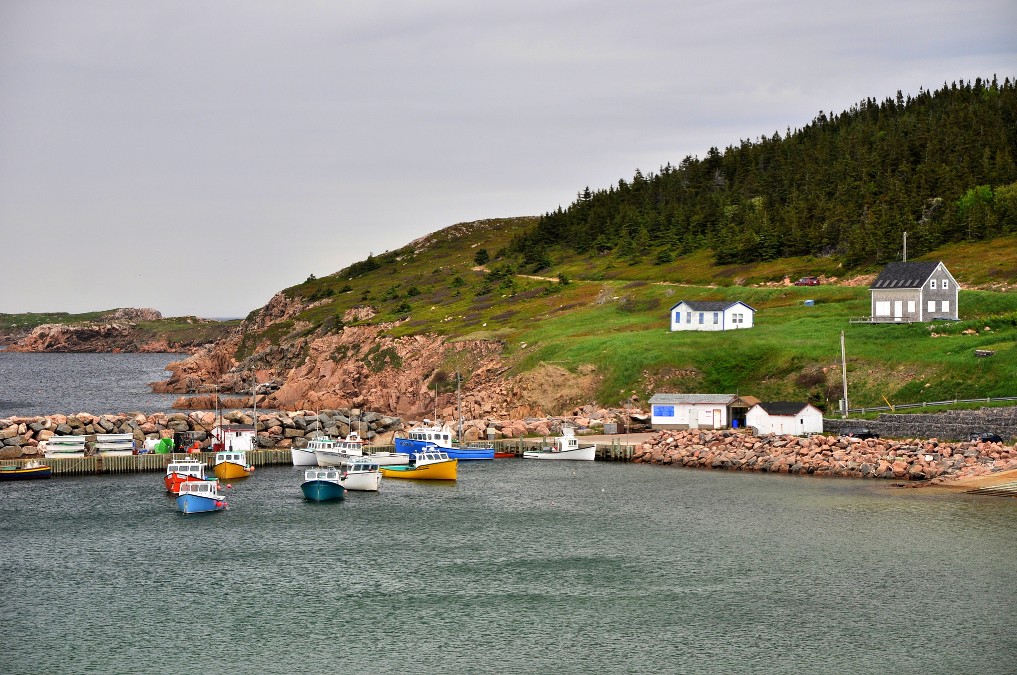 Sigma 17-70mm F2.8-4 DC Macro OS HSM sample photo. Meat cove photography