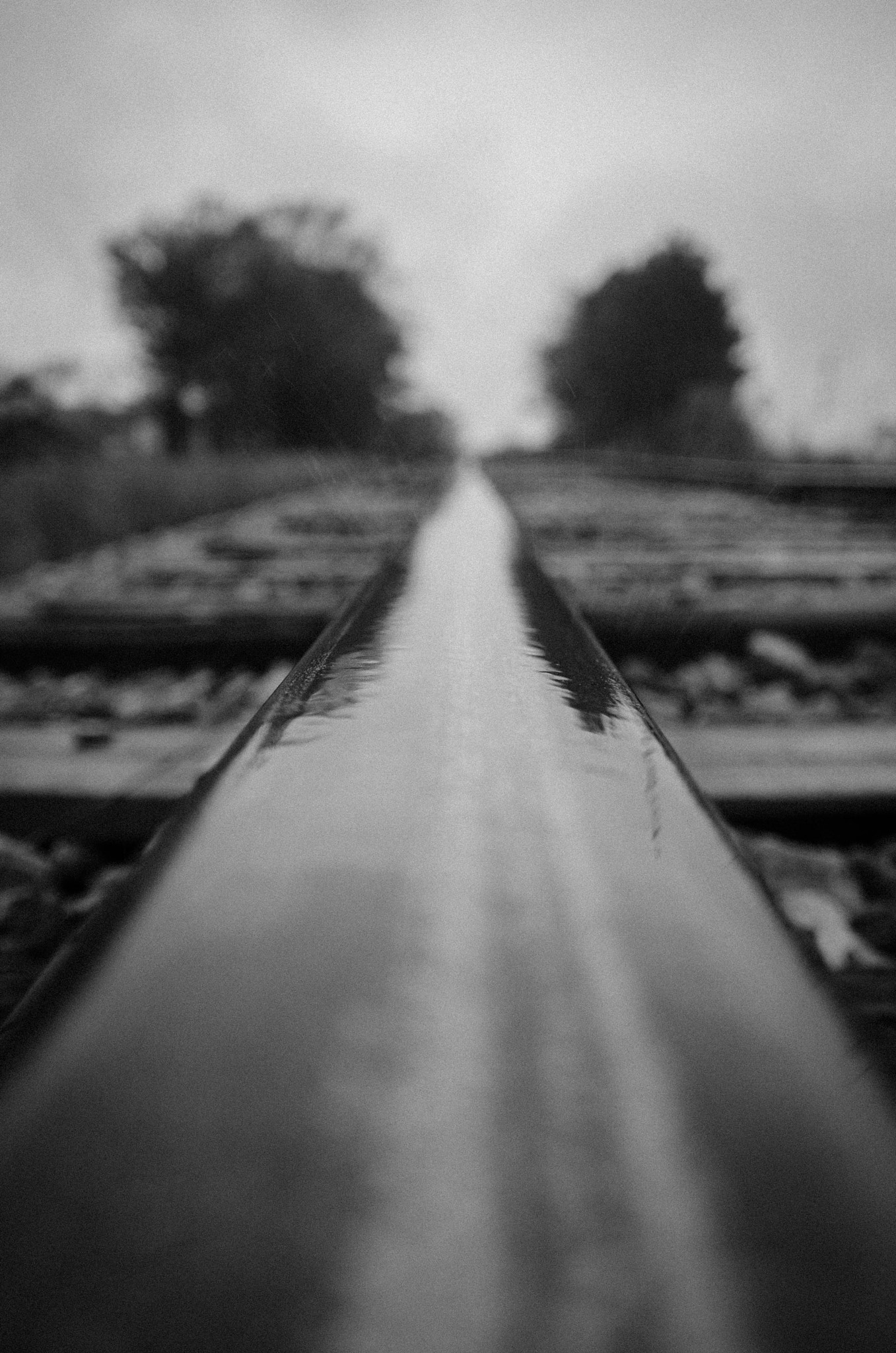 Nikon D5100 + Nikon PC-E Nikkor 24mm F3.5D ED Tilt-Shift sample photo. Lonely rail | 89/365+ photography