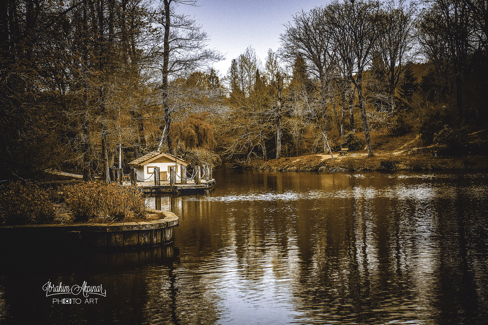 Canon EOS 50D + Sigma 35mm F1.4 DG HSM Art sample photo. Atatürk arboretumu photography