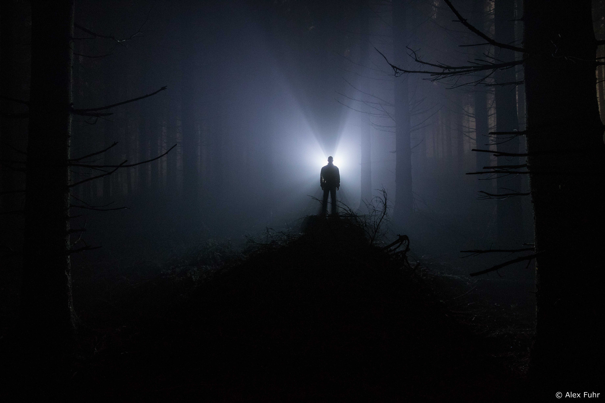 Canon EF-S 10-18mm F4.5–5.6 IS STM sample photo. Slenderman at the forest photography