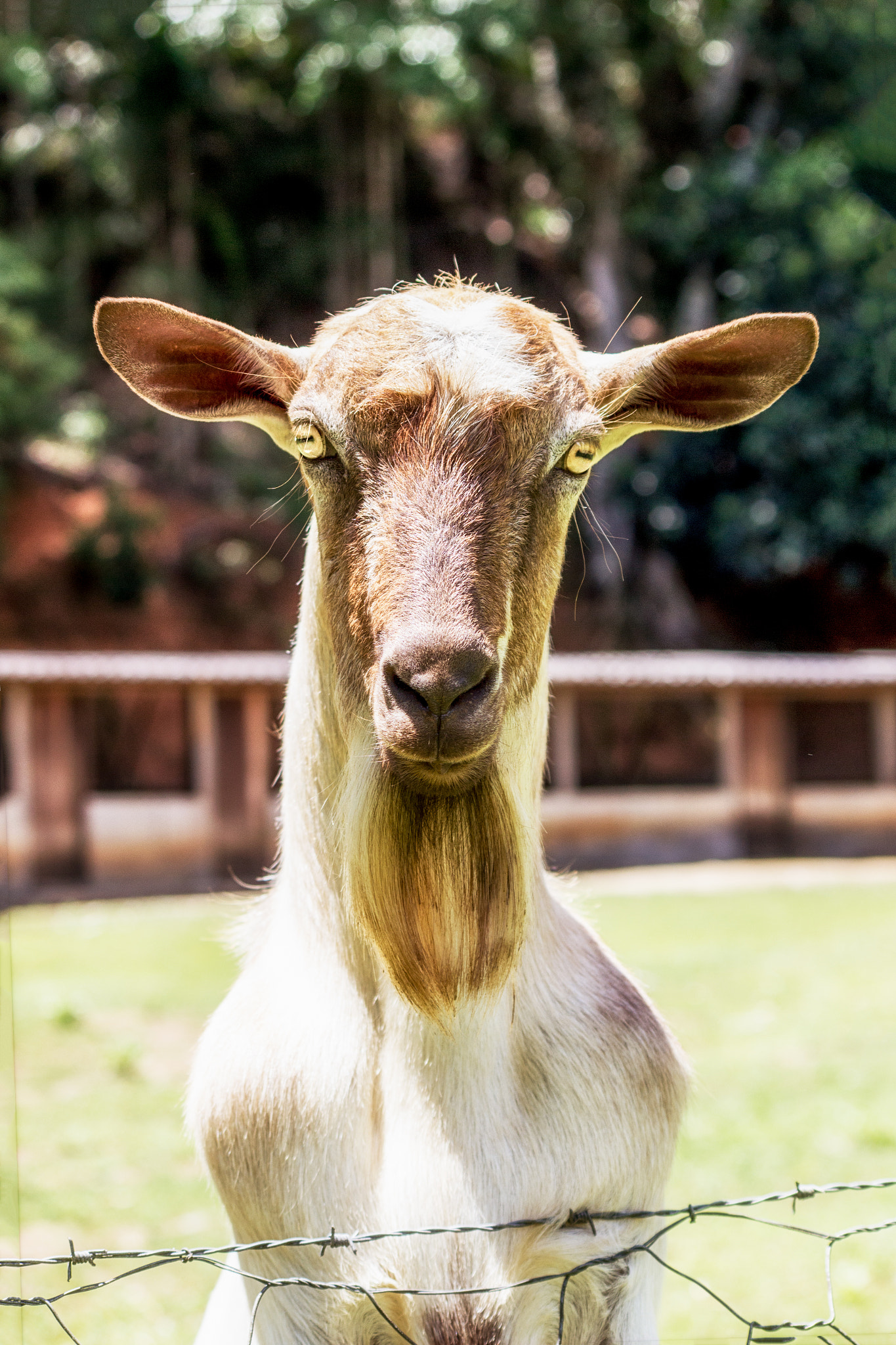 v2?sig=0169db41c072ce1dc33681ee4711da4c17c68016a522733644ea11c4cac9d8b2