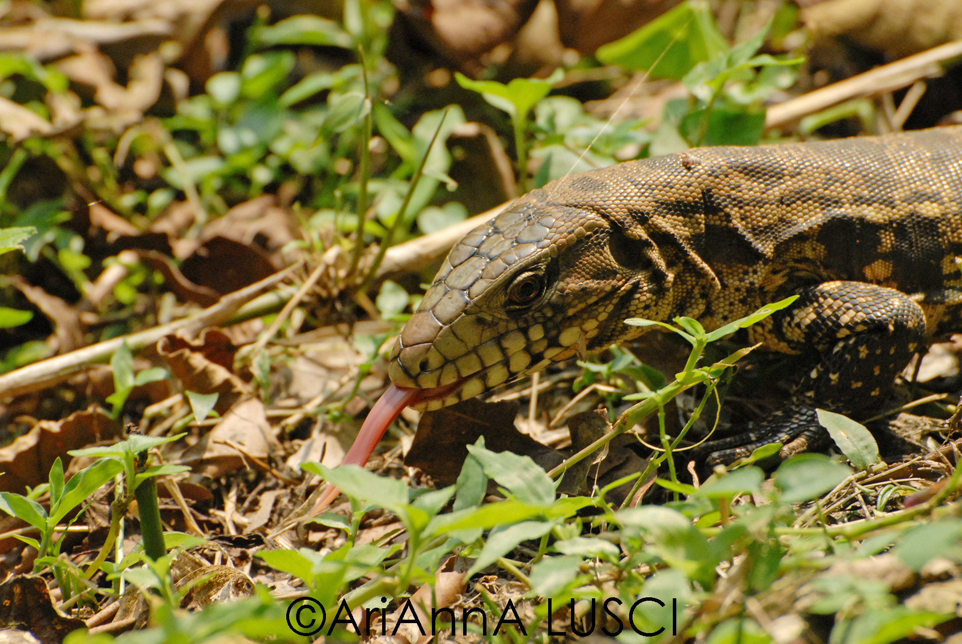 Nikon D200 sample photo. Tasting photography