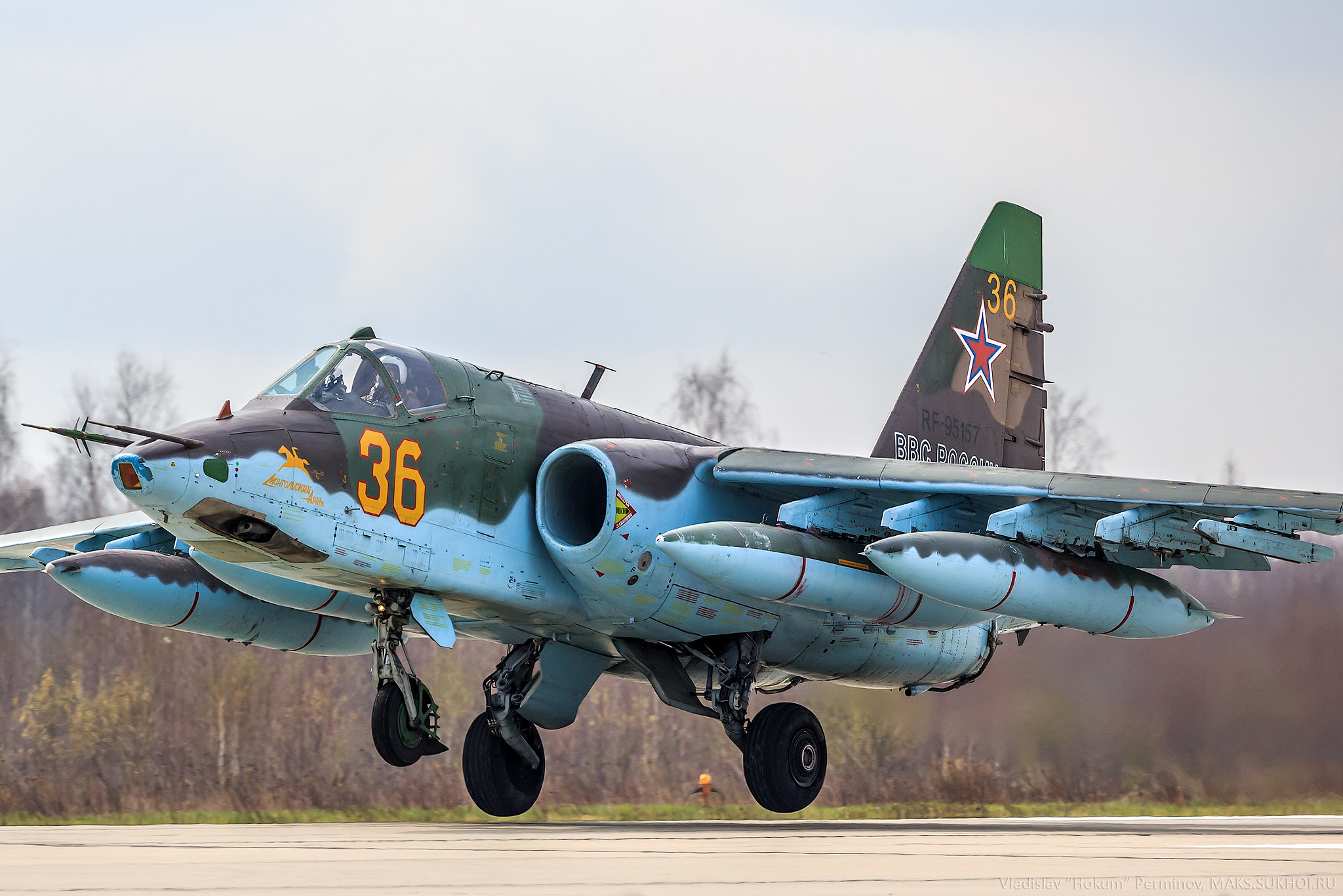 Canon EF 200-400mm F4L IS USM Extender 1.4x sample photo. Su-25bm photography