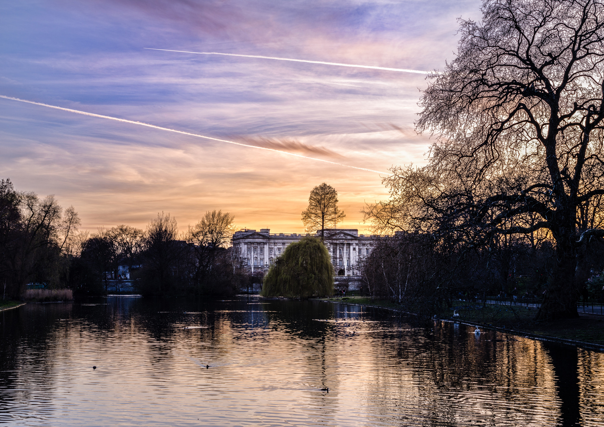 Nikon D5100 + Sigma 50mm F1.4 EX DG HSM sample photo. Buckingham palace, st. james park photography