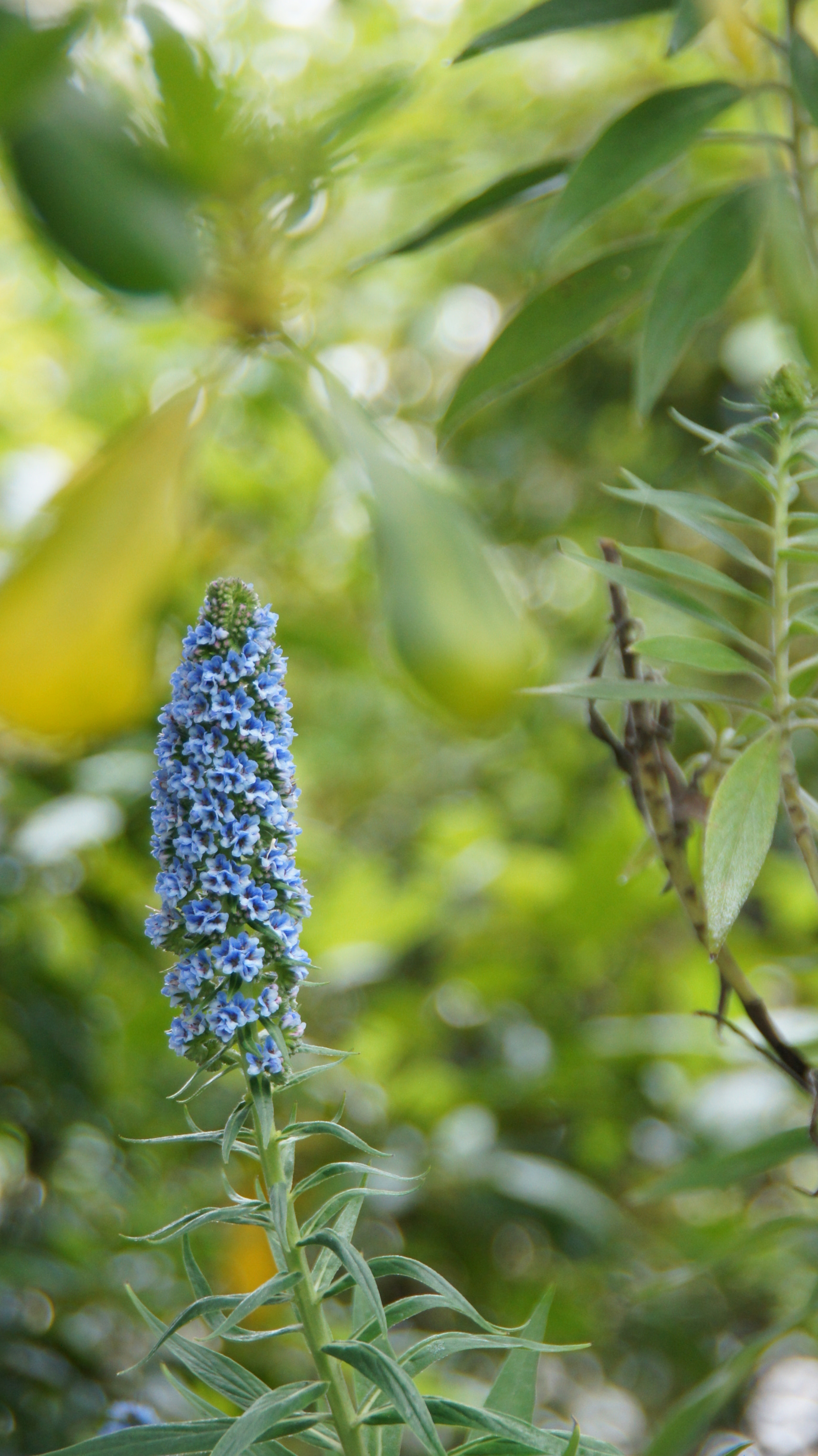 Sony SLT-A55 (SLT-A55V) sample photo. Untitled photography