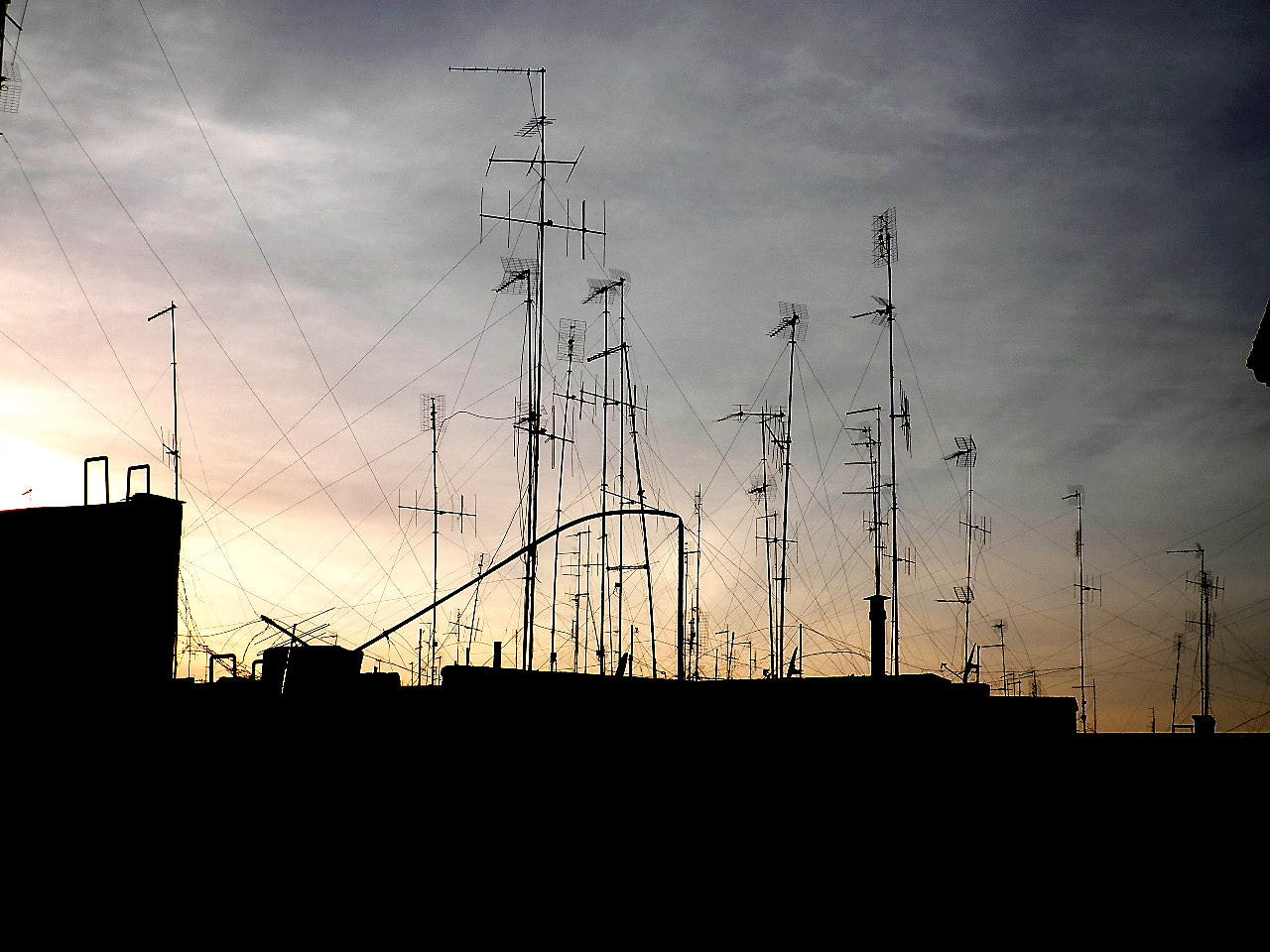 Olympus FE4030,X950 sample photo. Antenna selvaggia photography