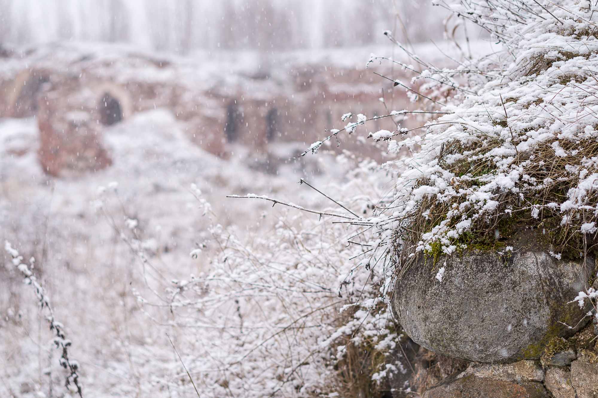 Sony Alpha a5000 (ILCE 5000) + E 50mm F1.8 OSS sample photo. Fotress under snow photography
