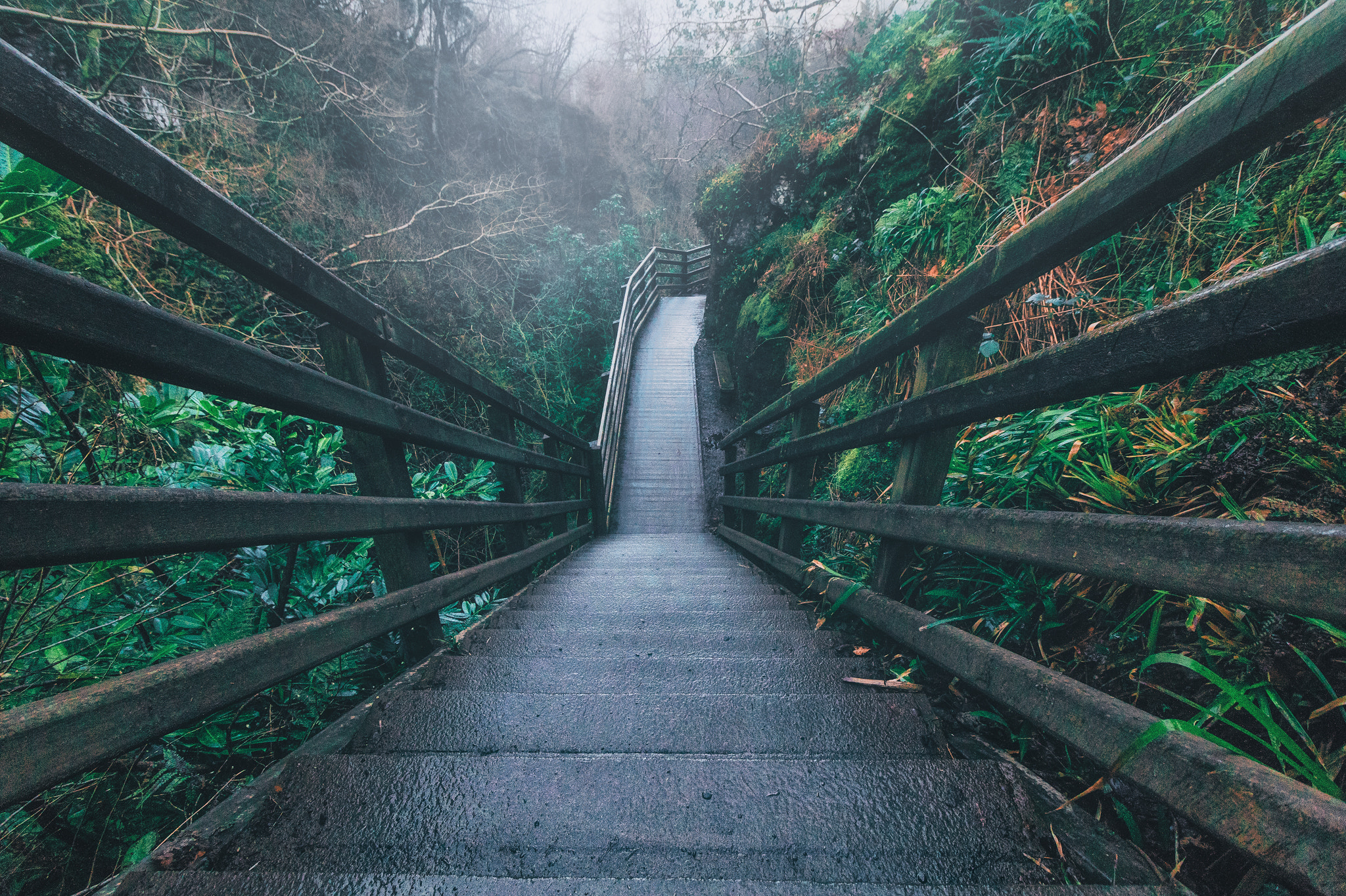 Canon EF-S 10-18mm F4.5–5.6 IS STM sample photo. Stairway to the fog photography