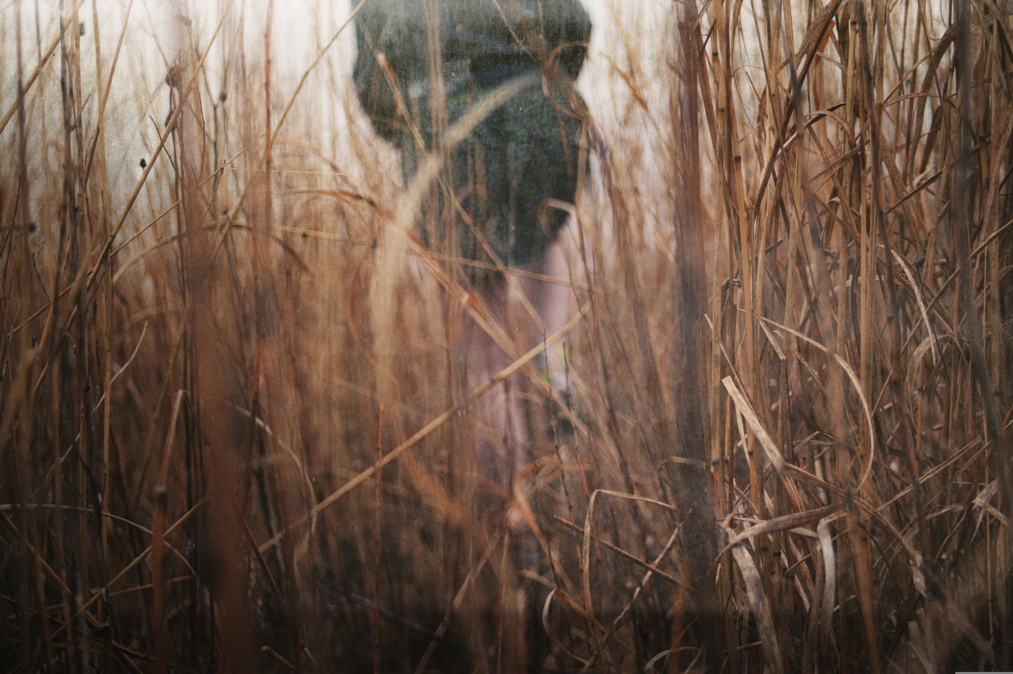 Canon EF 28-80mm f/3.5-5.6 sample photo. Hide and seak photography