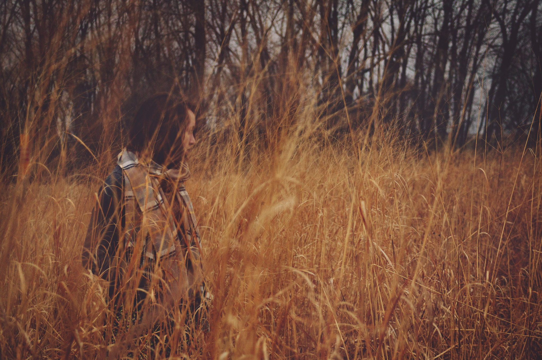 Canon EF 28-80mm f/3.5-5.6 sample photo. Muted photography