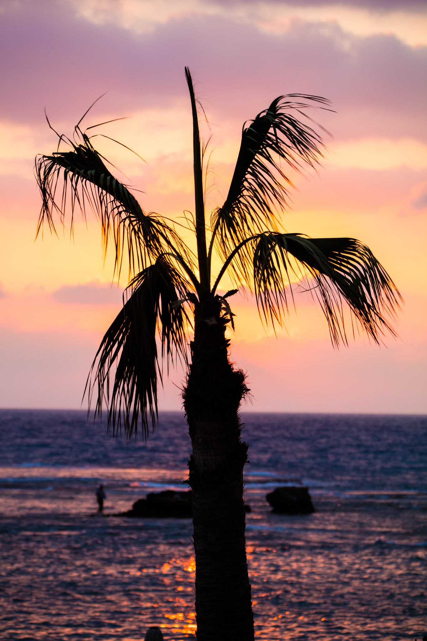 Canon EF 70-200mm F2.8L IS II USM sample photo. 1t9a7814.jpg photography