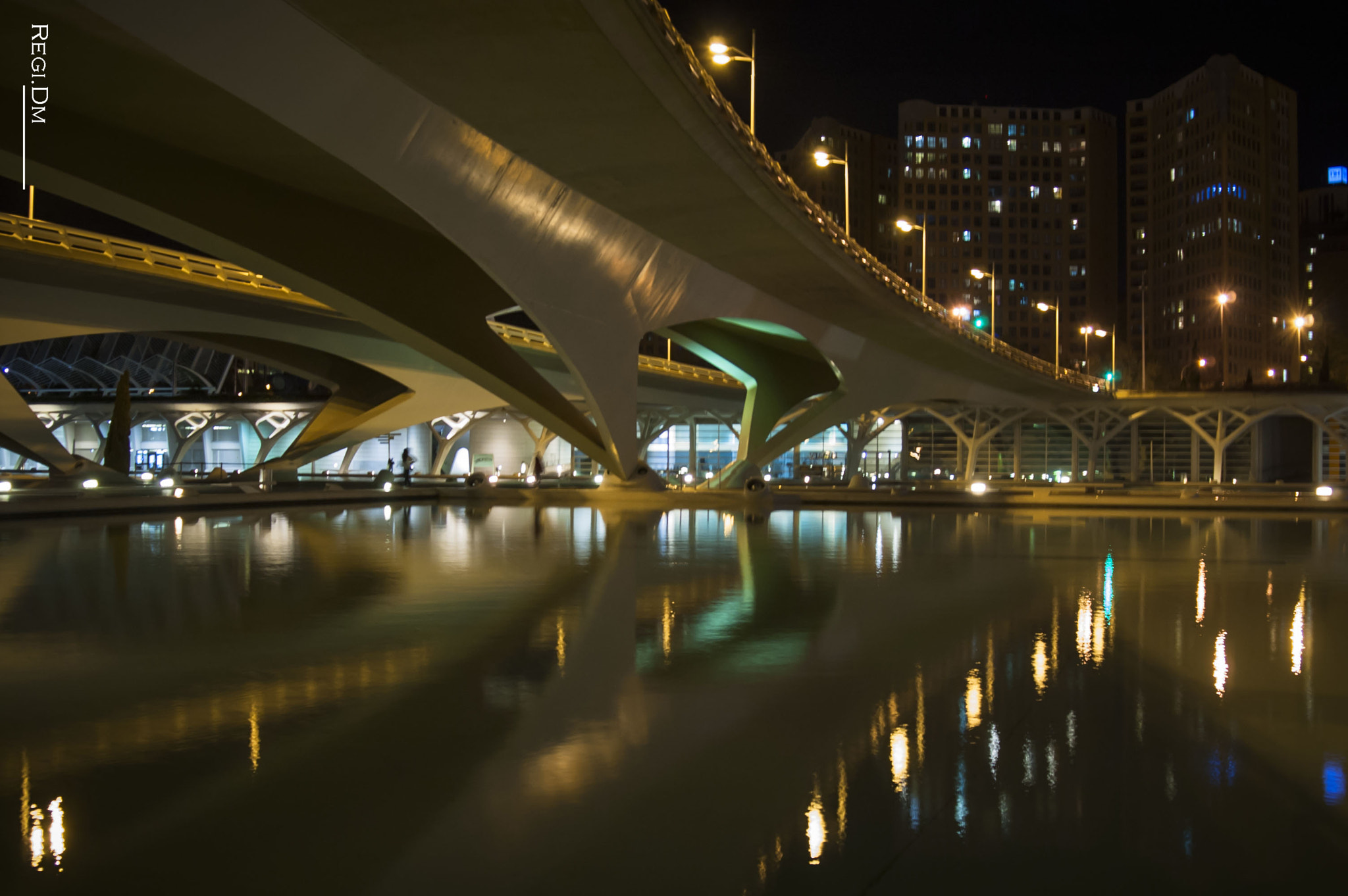 AF Zoom-Nikkor 28-80mm f/3.3-5.6G sample photo. Futuristic bridge photography