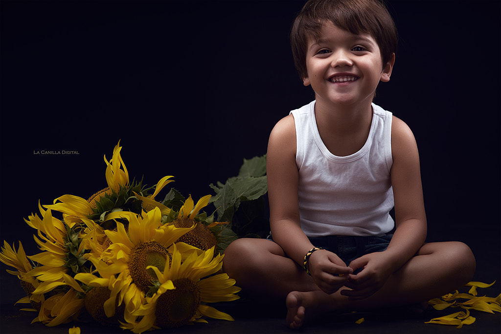 Nikon D4 + Sigma 85mm F1.4 EX DG HSM sample photo. Sunflowers photography