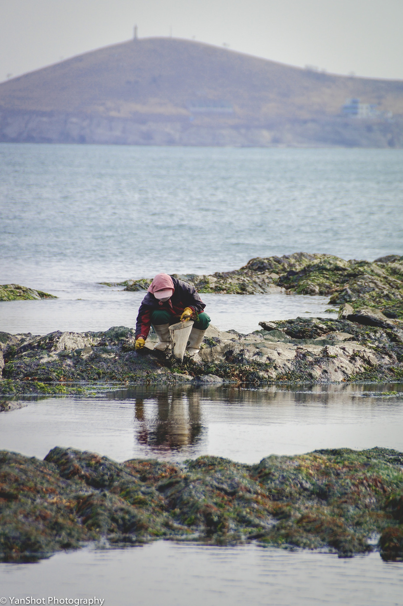 Sony DT 18-250mm F3.5-6.3 sample photo. #siceyourlife | clam hunting at fuiazhuang park | dalian, china photography