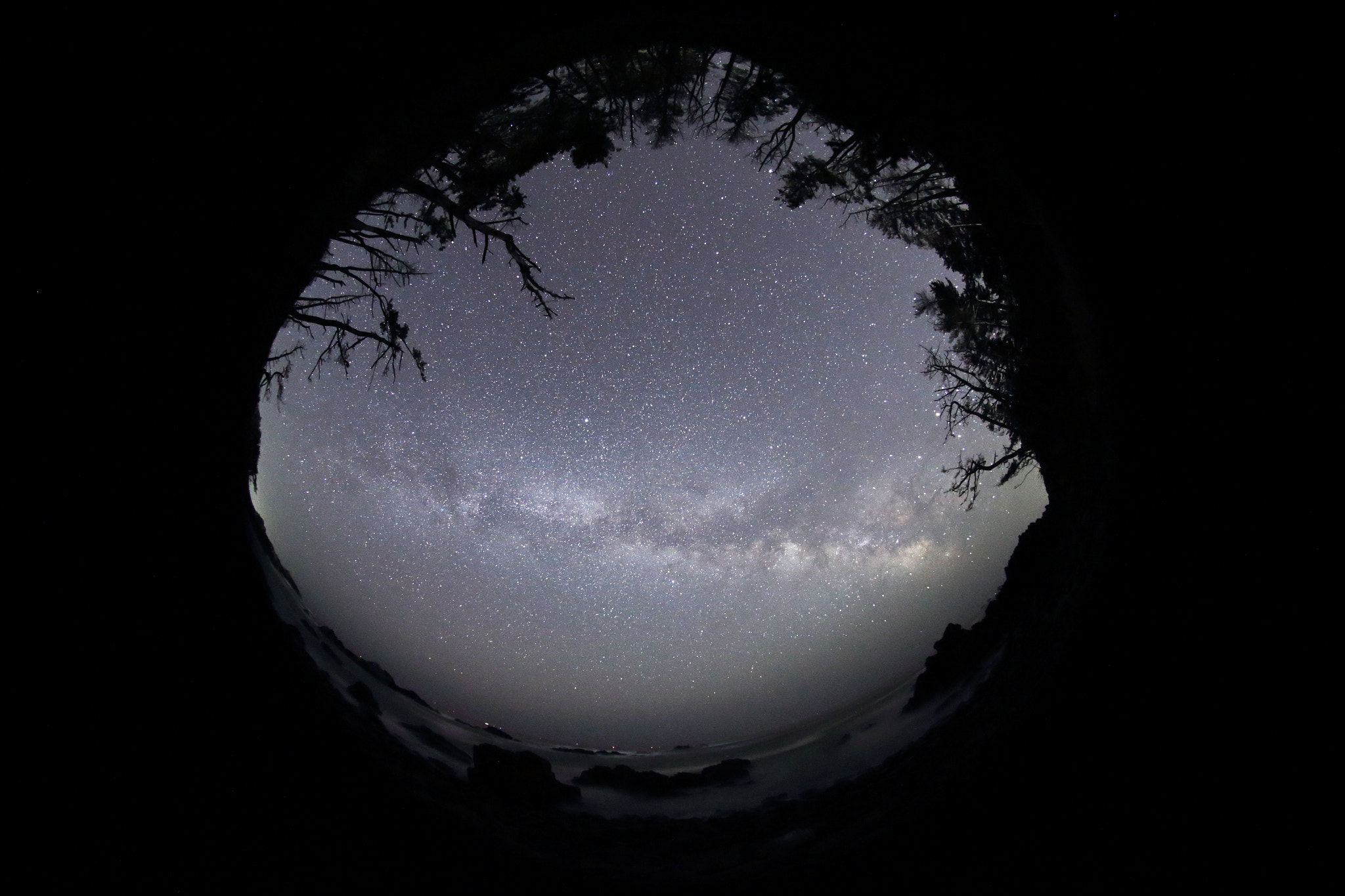 Sigma 8mm F3.5 EX DG Circular Fisheye sample photo. Look up at the galaxy photography