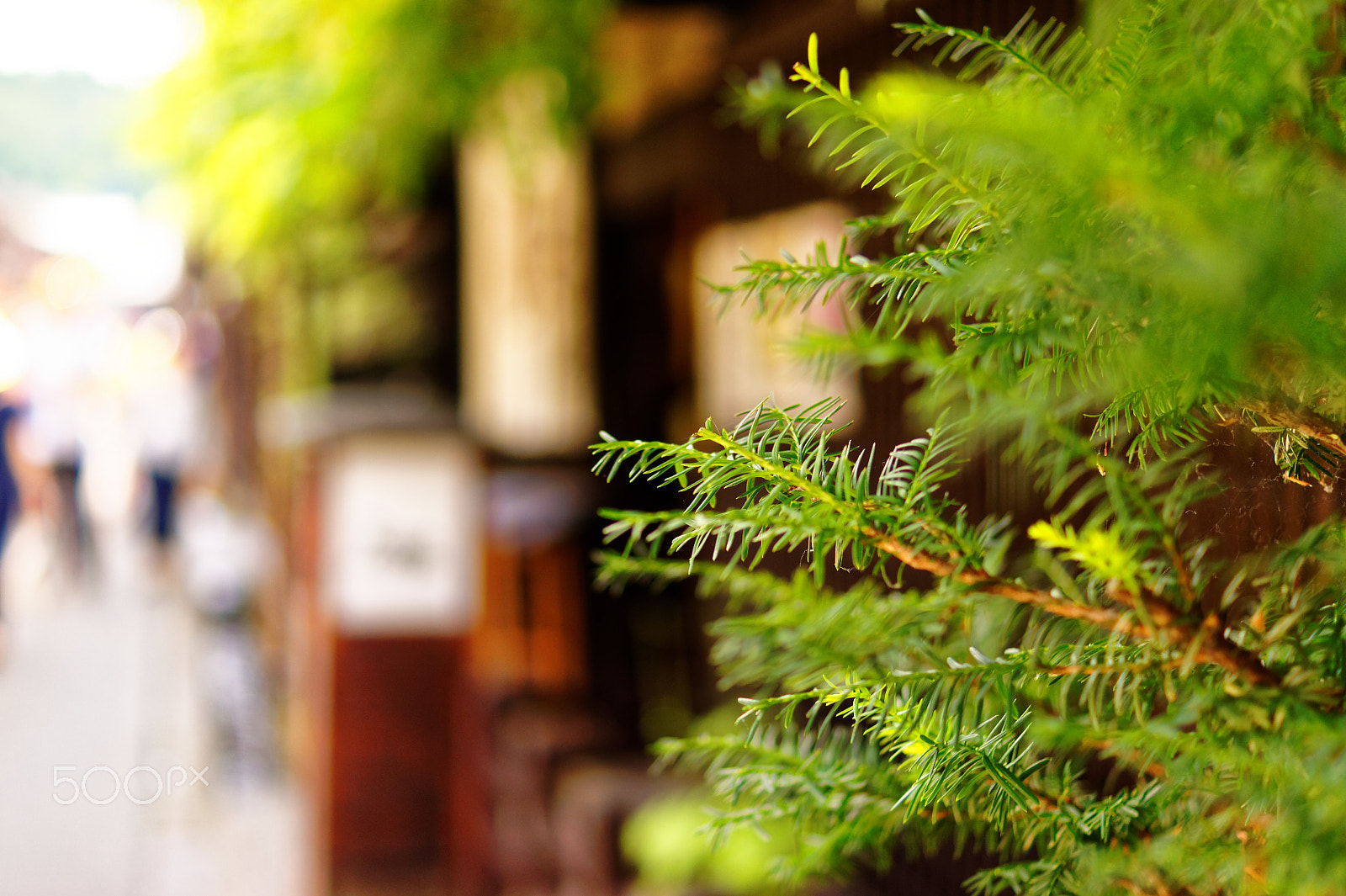 Sony SLT-A33 + Sony DT 35mm F1.8 SAM sample photo. Old-streets at hida takayama in japan photography