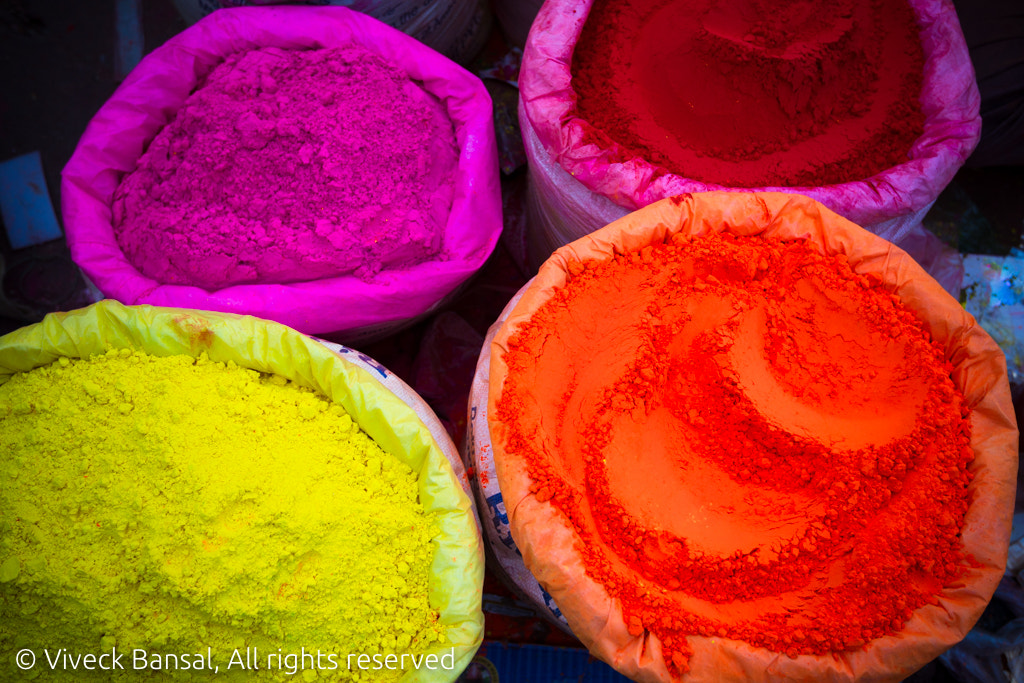 Canon EOS-1D Mark IV sample photo. Colours photography