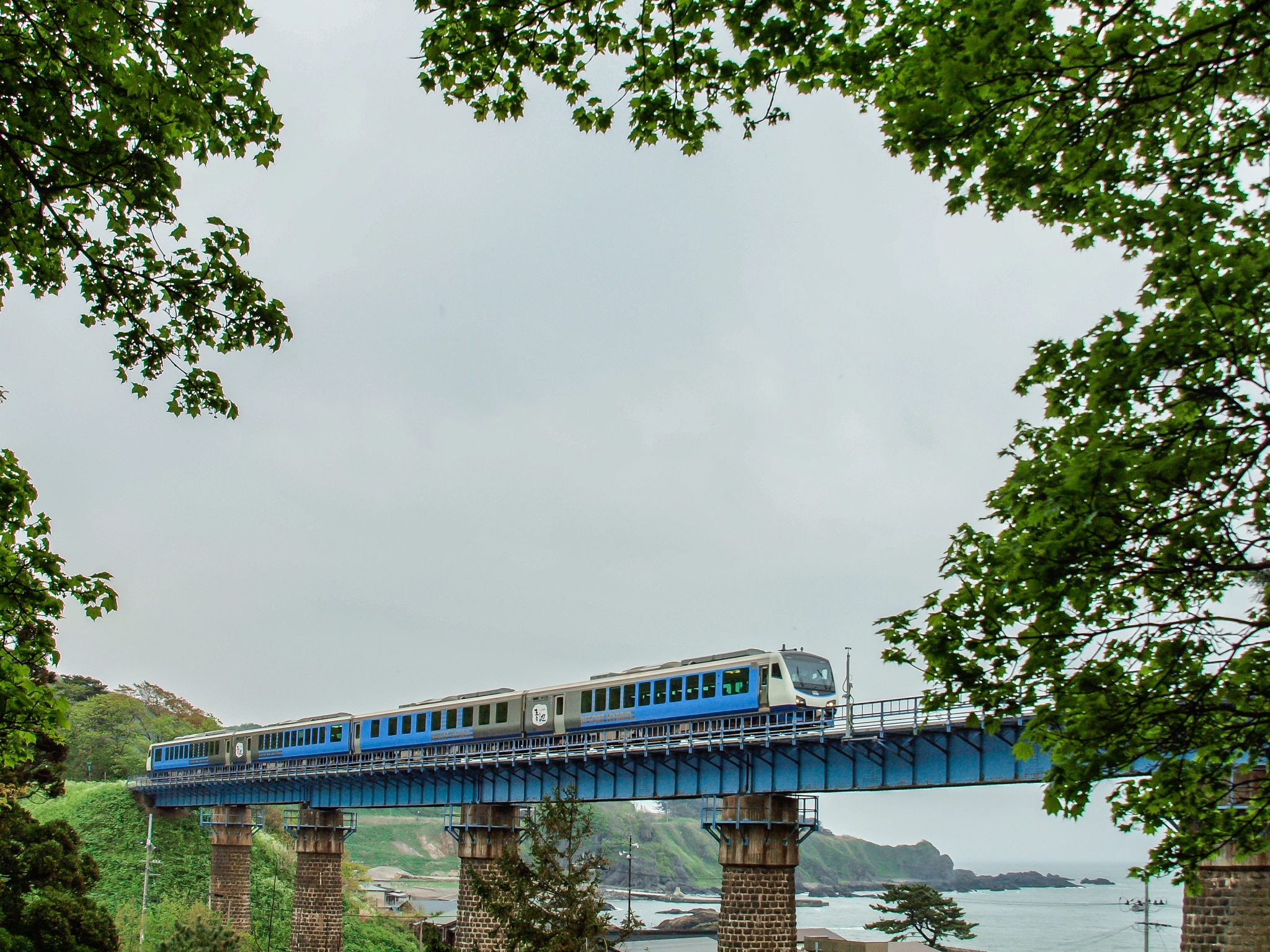 OLYMPUS 18mm-180mm Lens sample photo. Excursion train photography