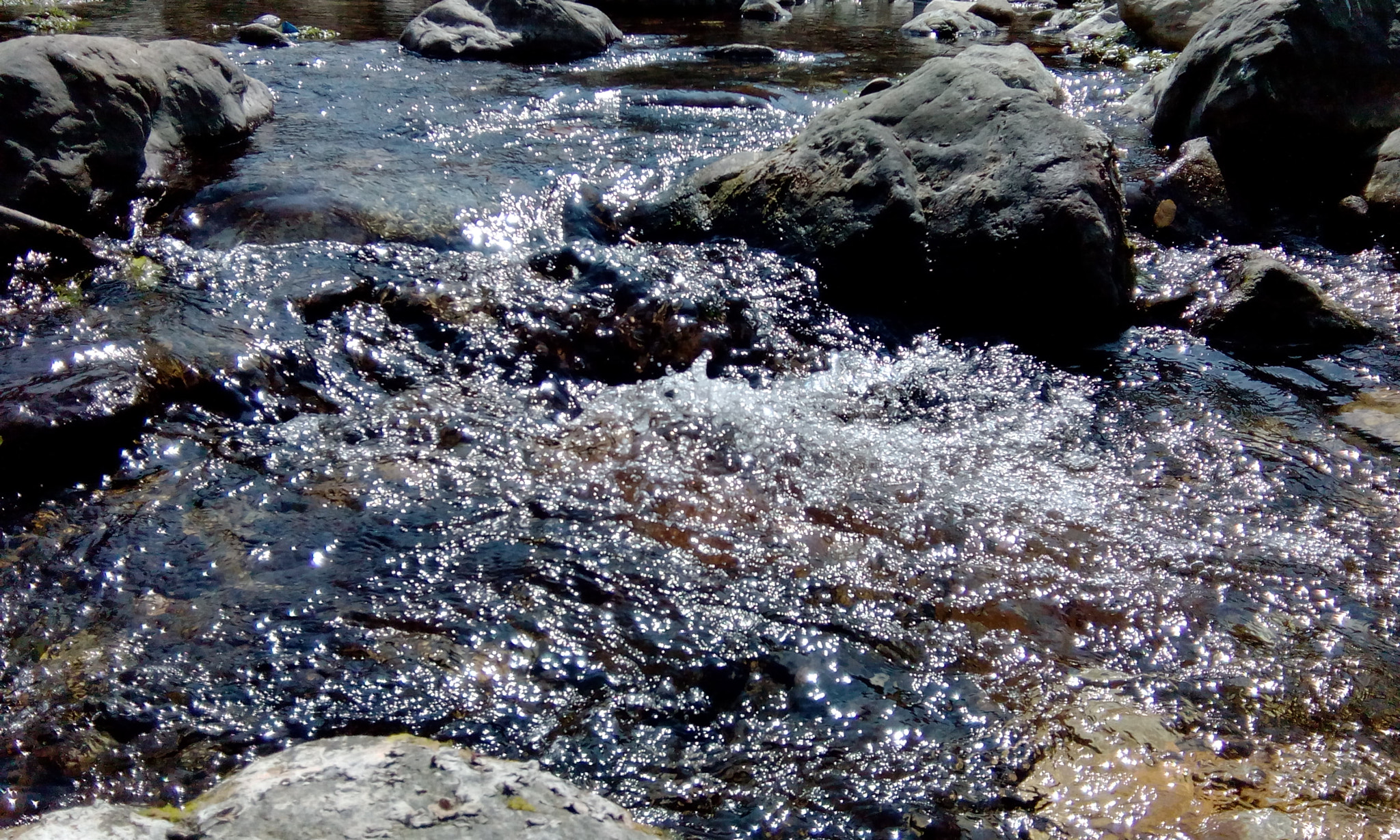 HTC DESIRE 526G+ DUAL SIM sample photo. Gush  photography