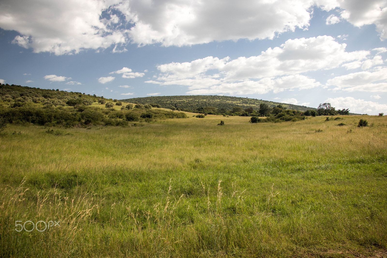 Canon EF-S 18-135mm F3.5-5.6 IS STM sample photo. Maasai mara, kenya, africa 1 photography